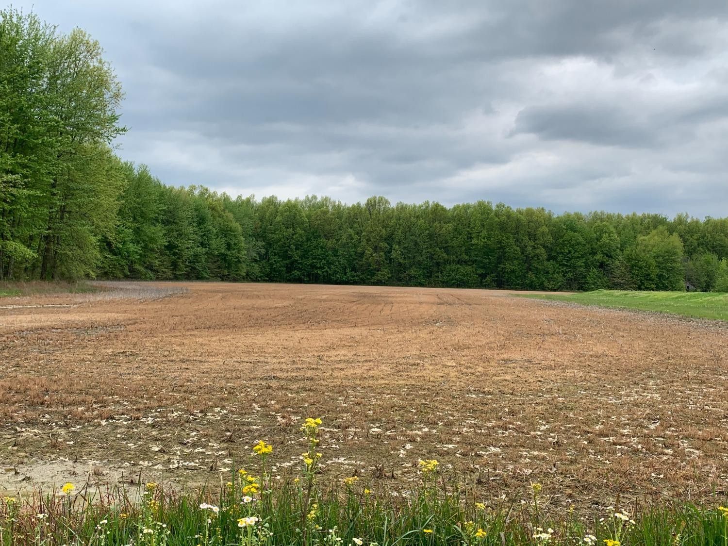 Hamersville, Clermont County, OH Undeveloped Land for sale Property ID