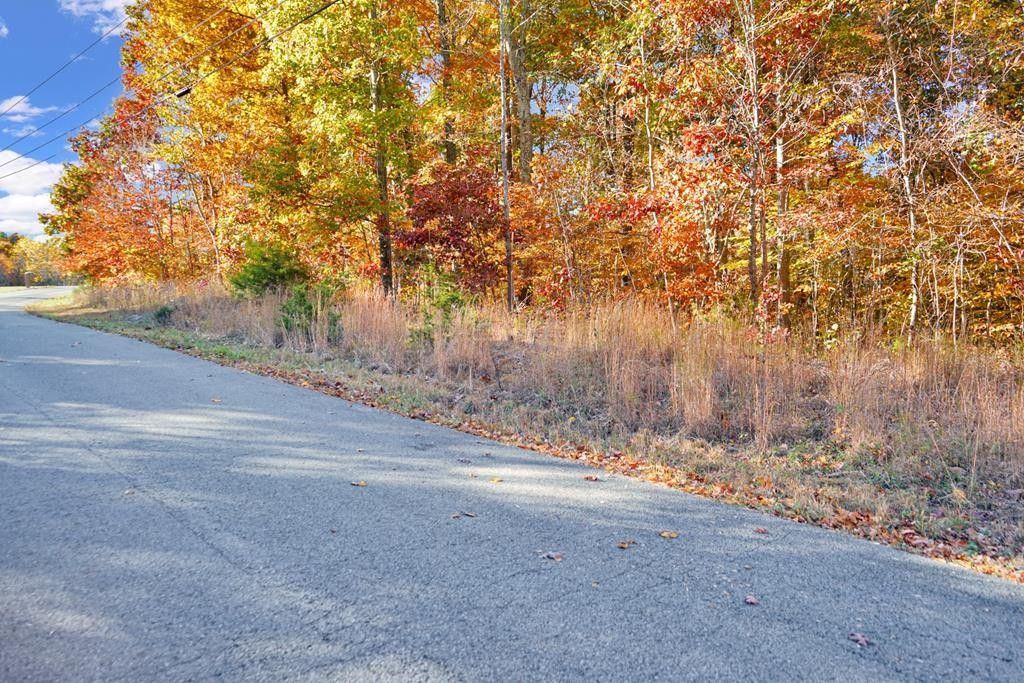 Big Rock, Stewart County, TN Undeveloped Land, Lakefront Property
