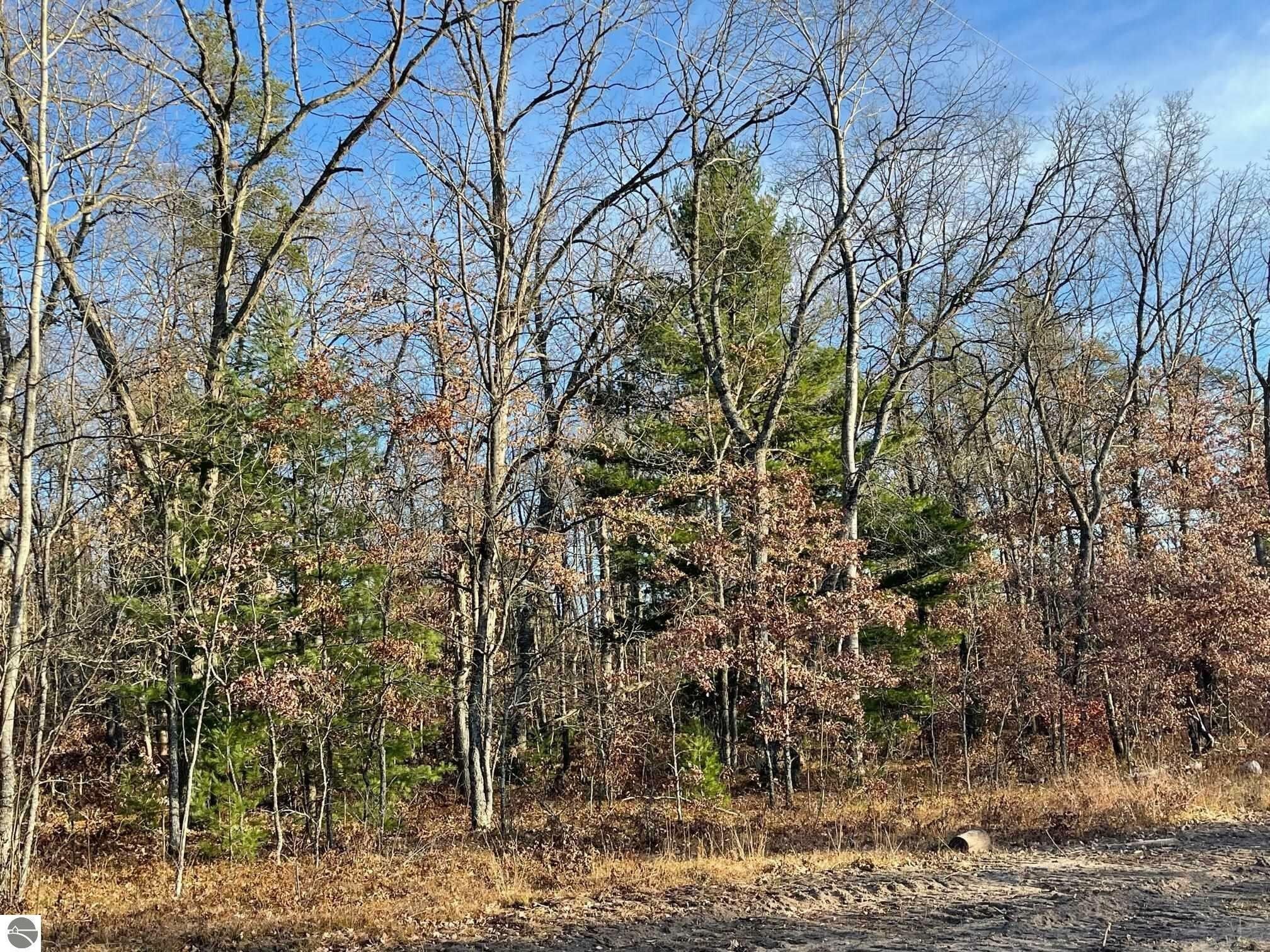 Harrison, Clare County, MI Undeveloped Land for sale Property ID
