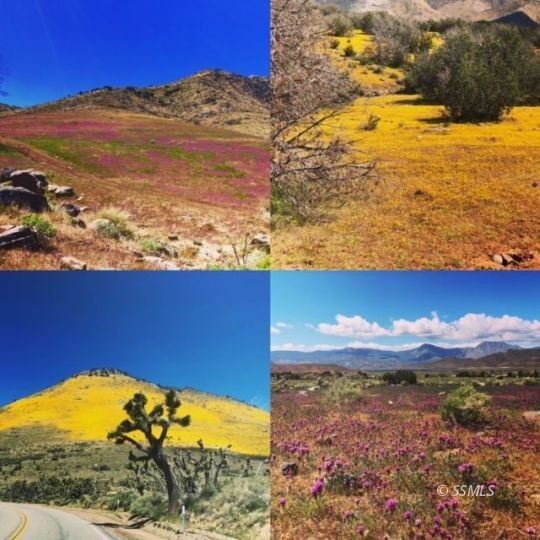 Weldon, Kern County, CA Undeveloped Land for sale Property ID