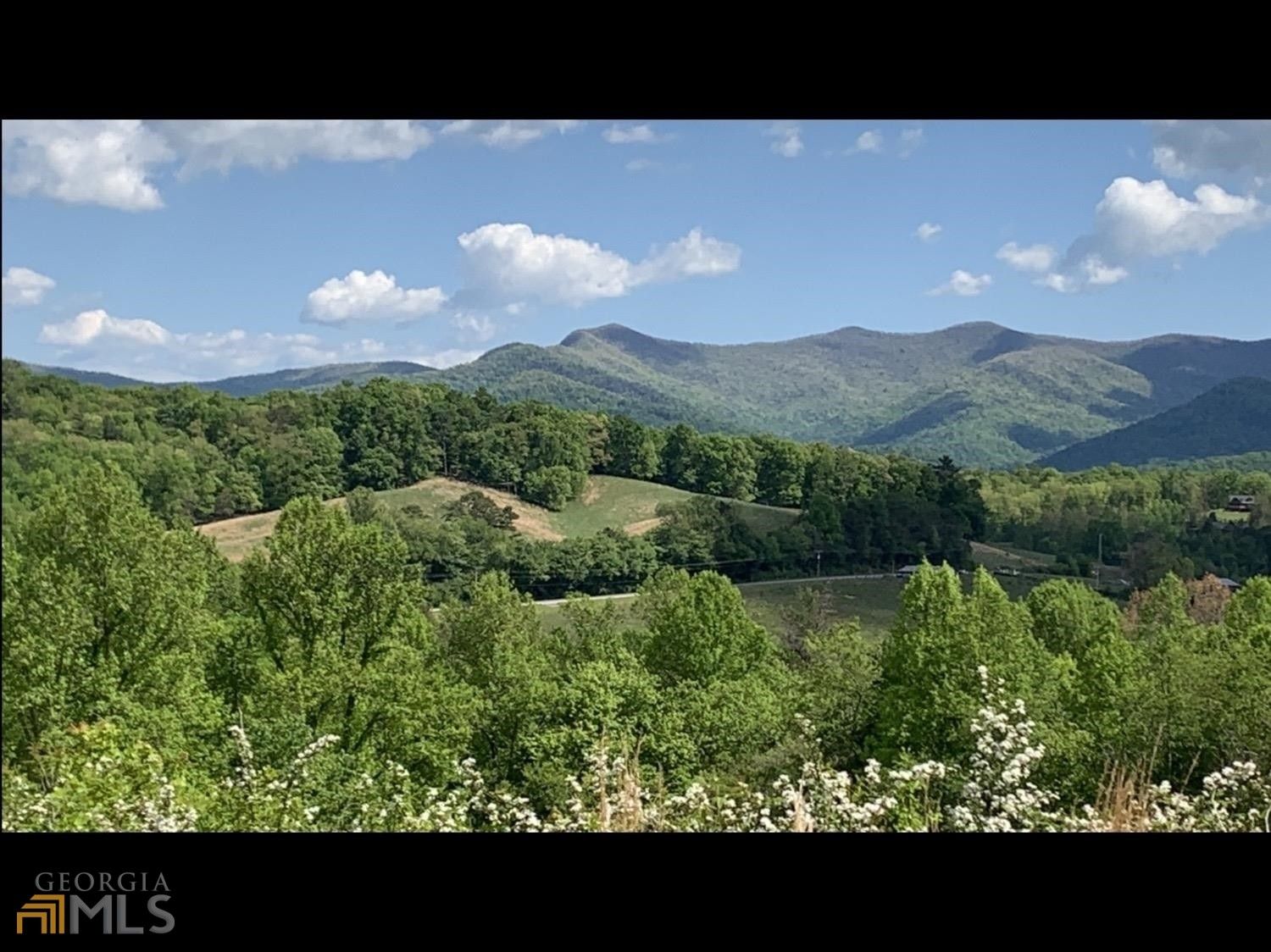 Blairsville, Union County, GA Undeveloped Land for sale Property ID