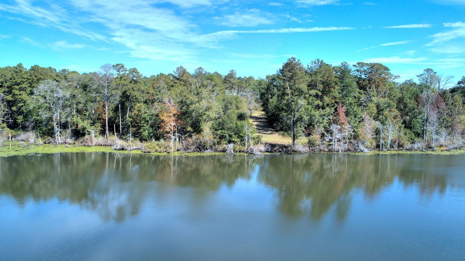 Edison, Calhoun County, GA Recreational Property, Undeveloped Land