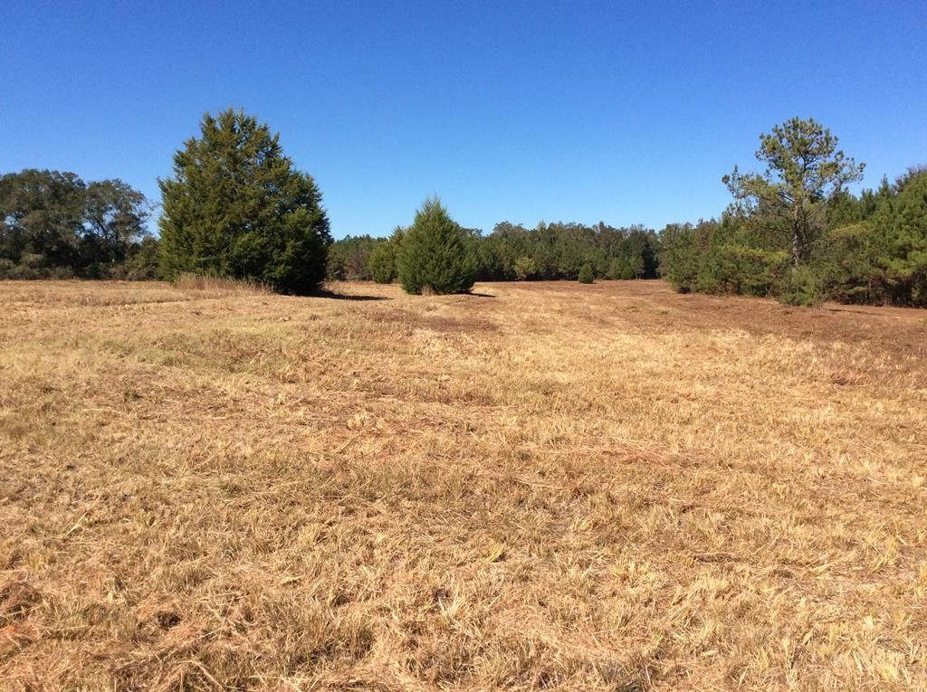Butler County, AL Undeveloped Land for sale Property ID