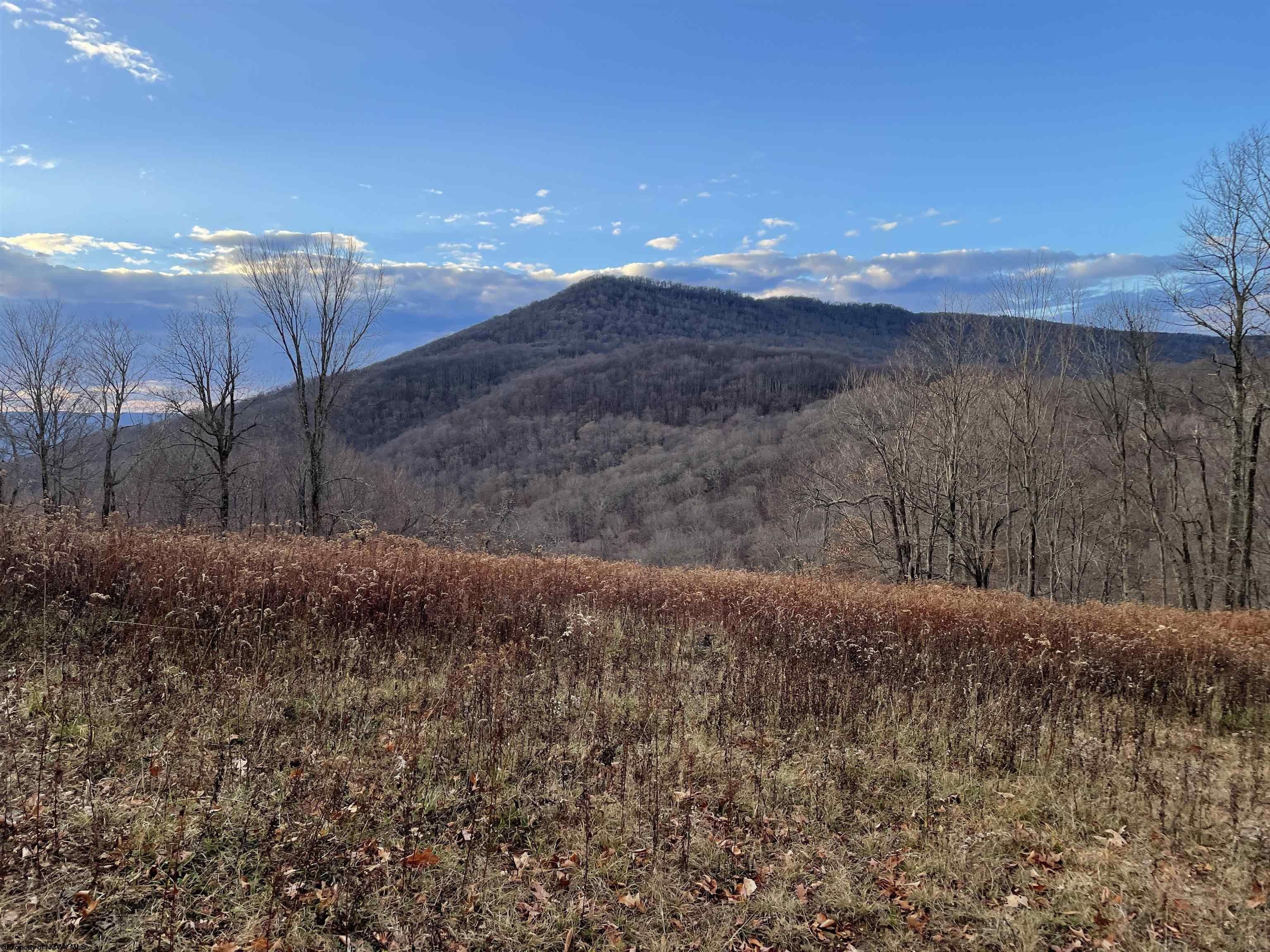 Davis, Tucker County, WV Undeveloped Land for sale Property ID 415236108 LandWatch