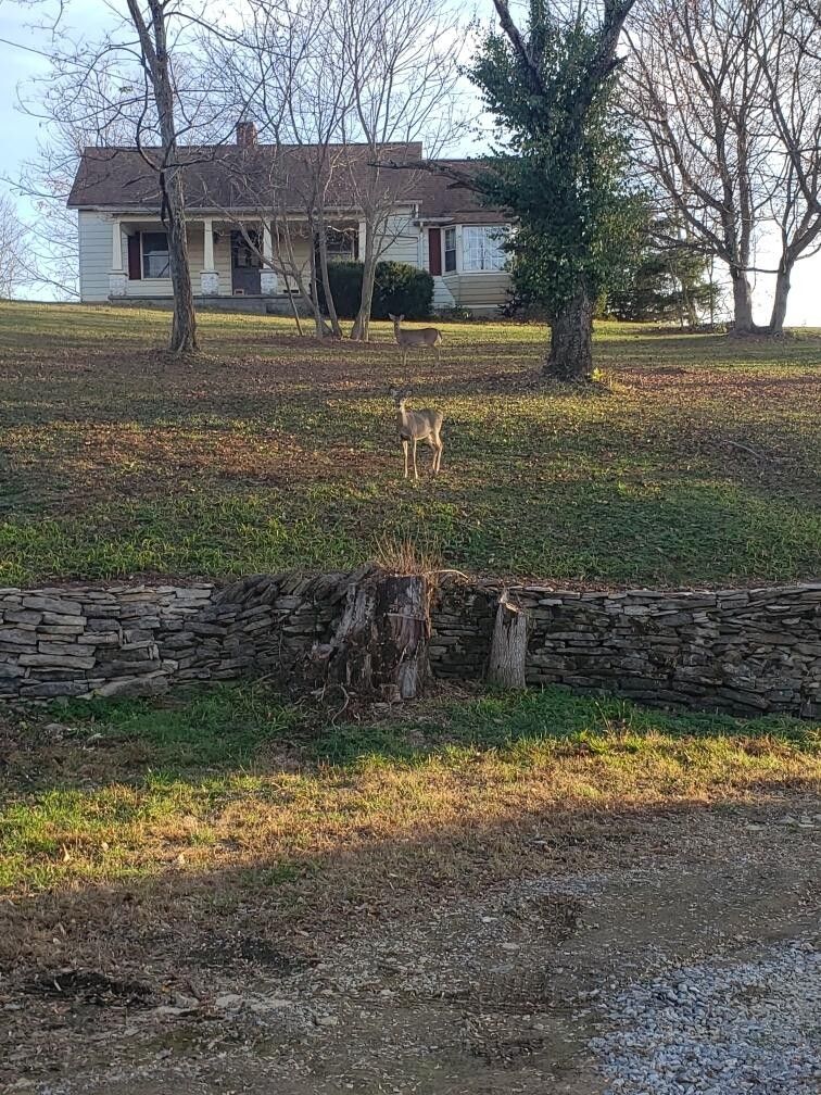 Harrodsburg, Mercer County, KY Farms and Ranches, House for sale