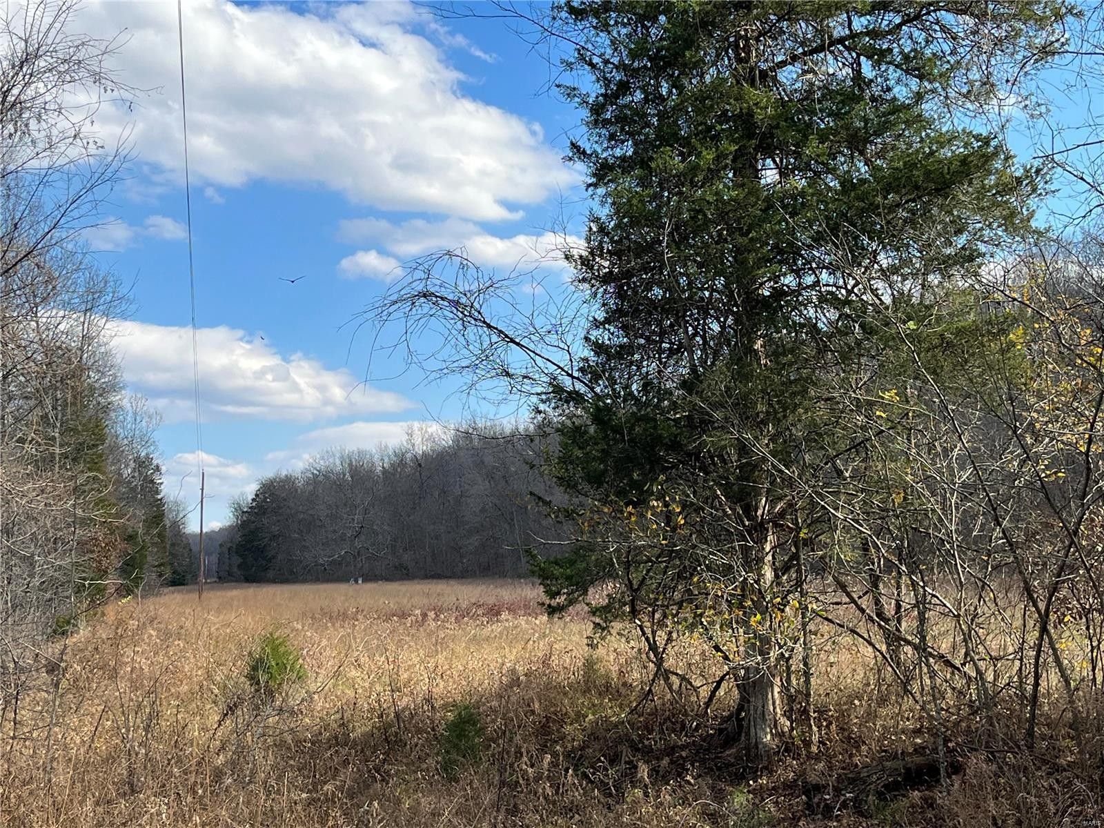Steelville, Crawford County, MO Farms and Ranches, House for sale
