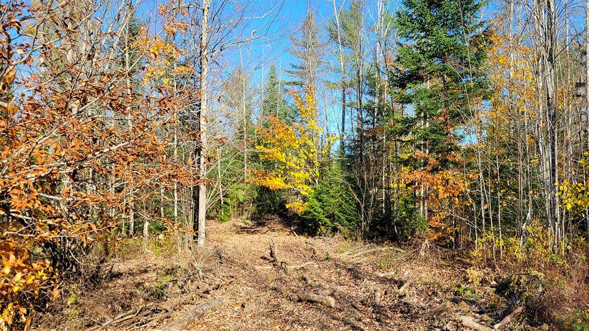 Lee, Penobscot County, ME Recreational Property, Timberland Property for sale Property ID