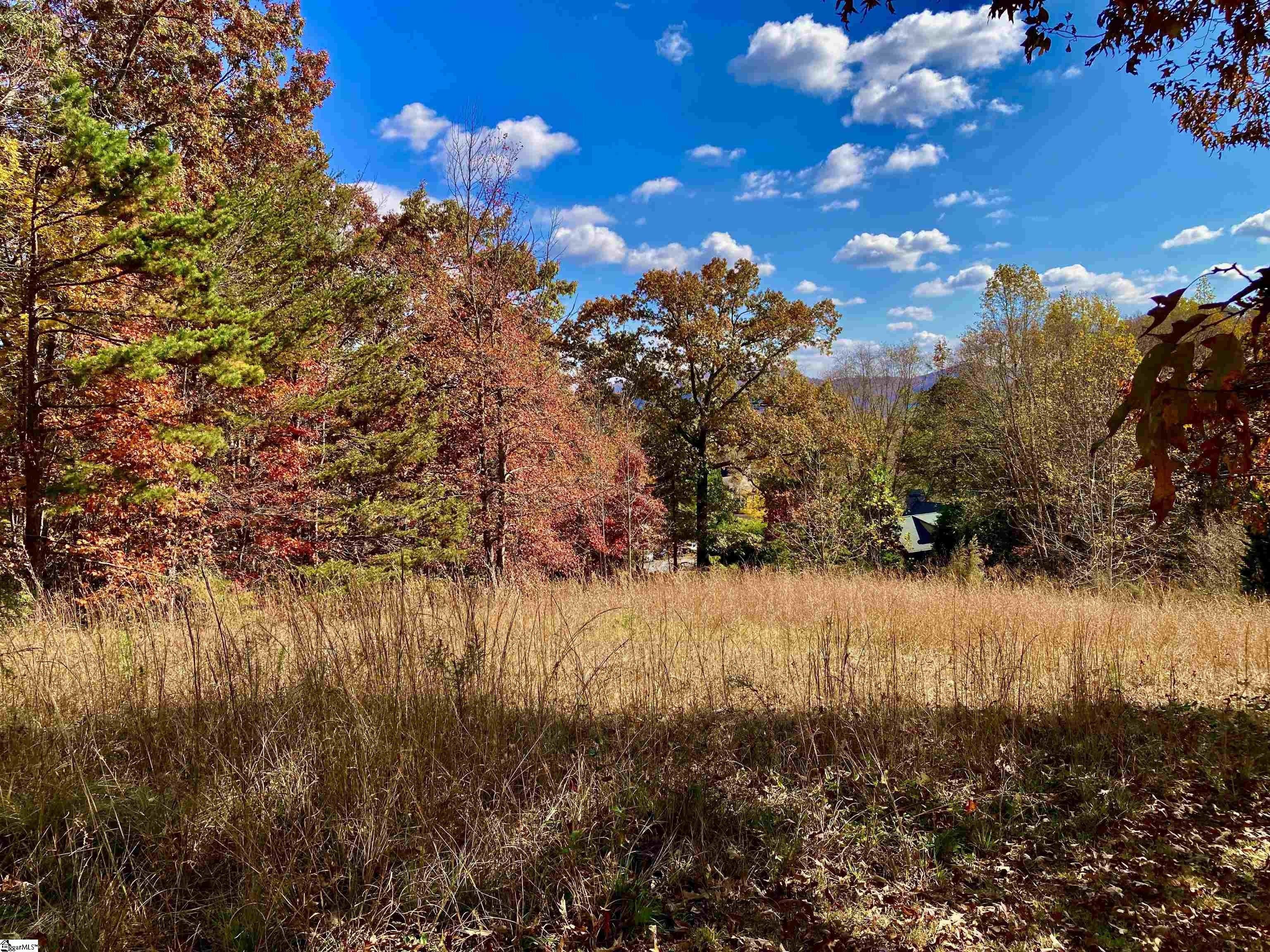 Travelers Rest, Greenville County, SC Undeveloped Land, Homesites for