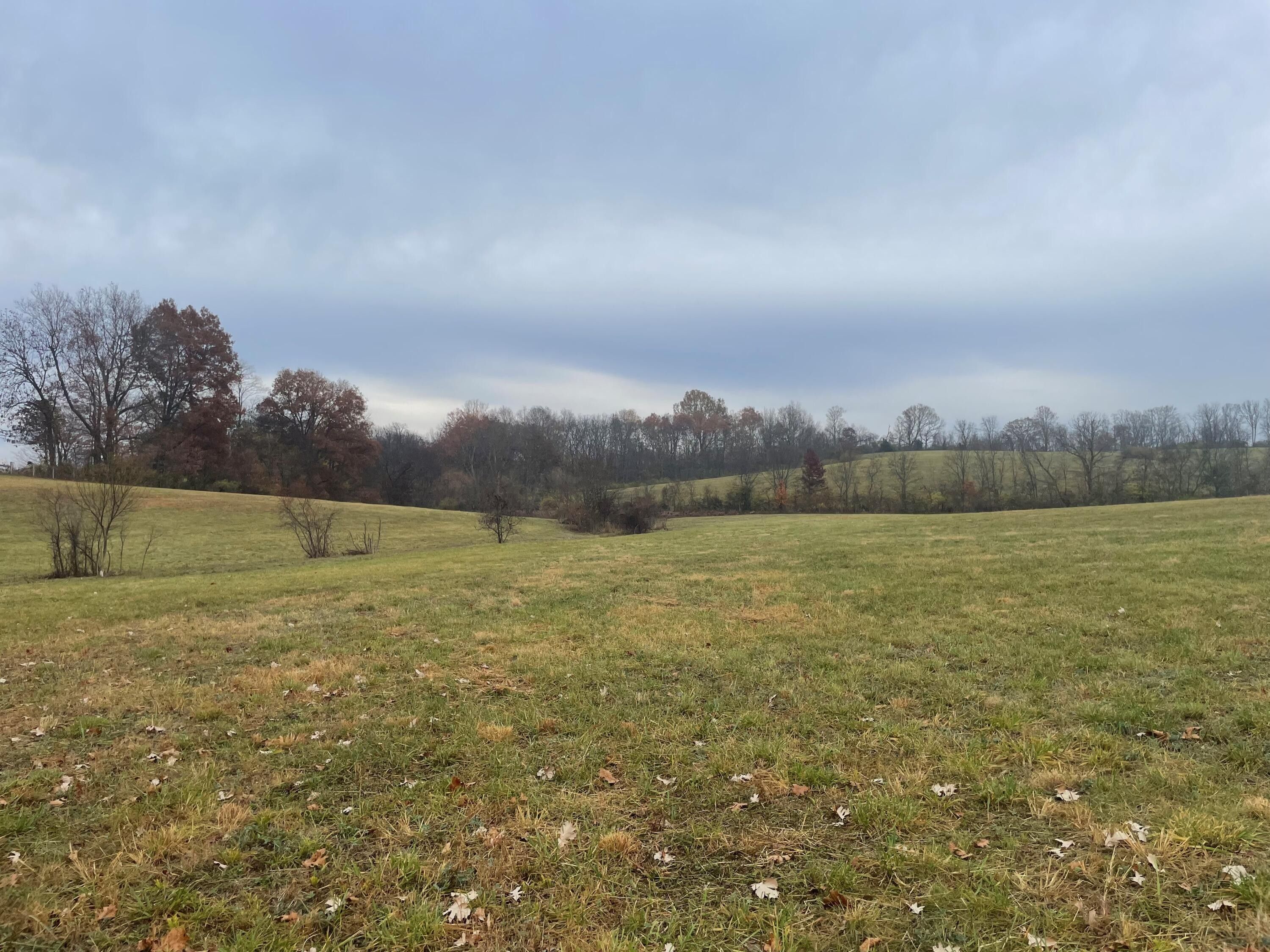 Cynthiana, Harrison County, KY Farms and Ranches for sale Property ID