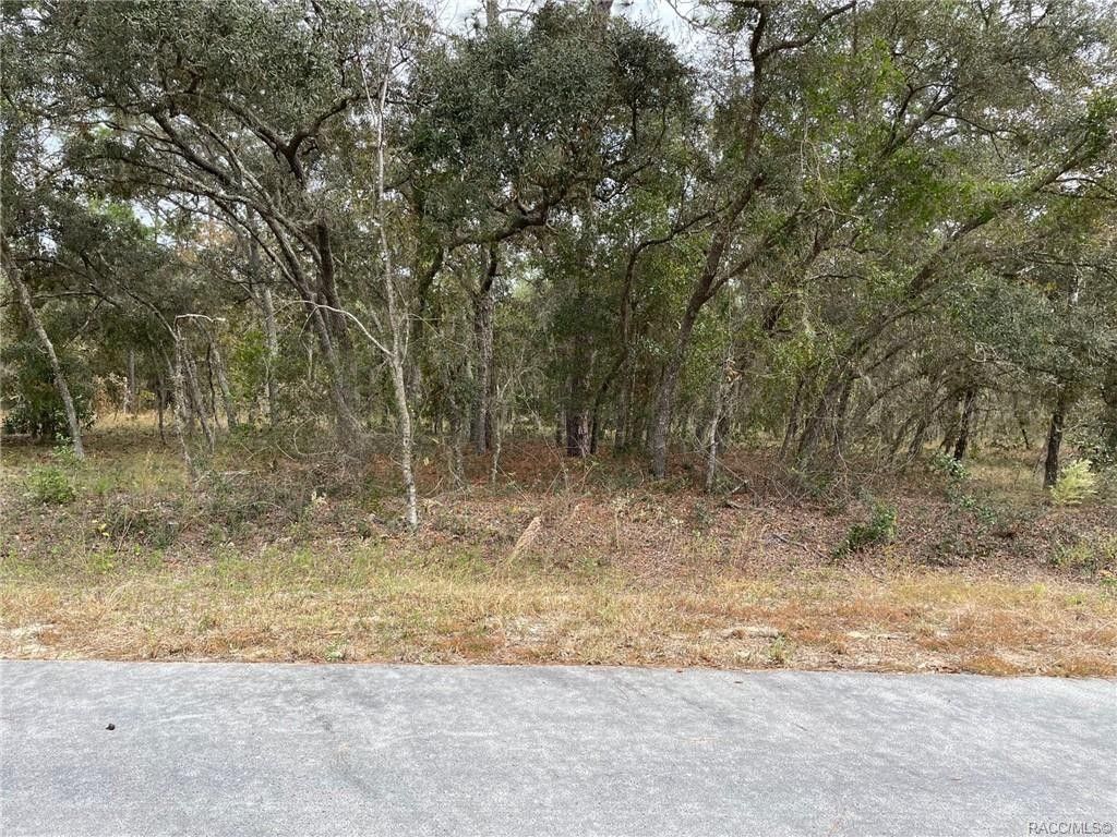 Dunnellon, Marion County, FL Undeveloped Land, Homesites for sale