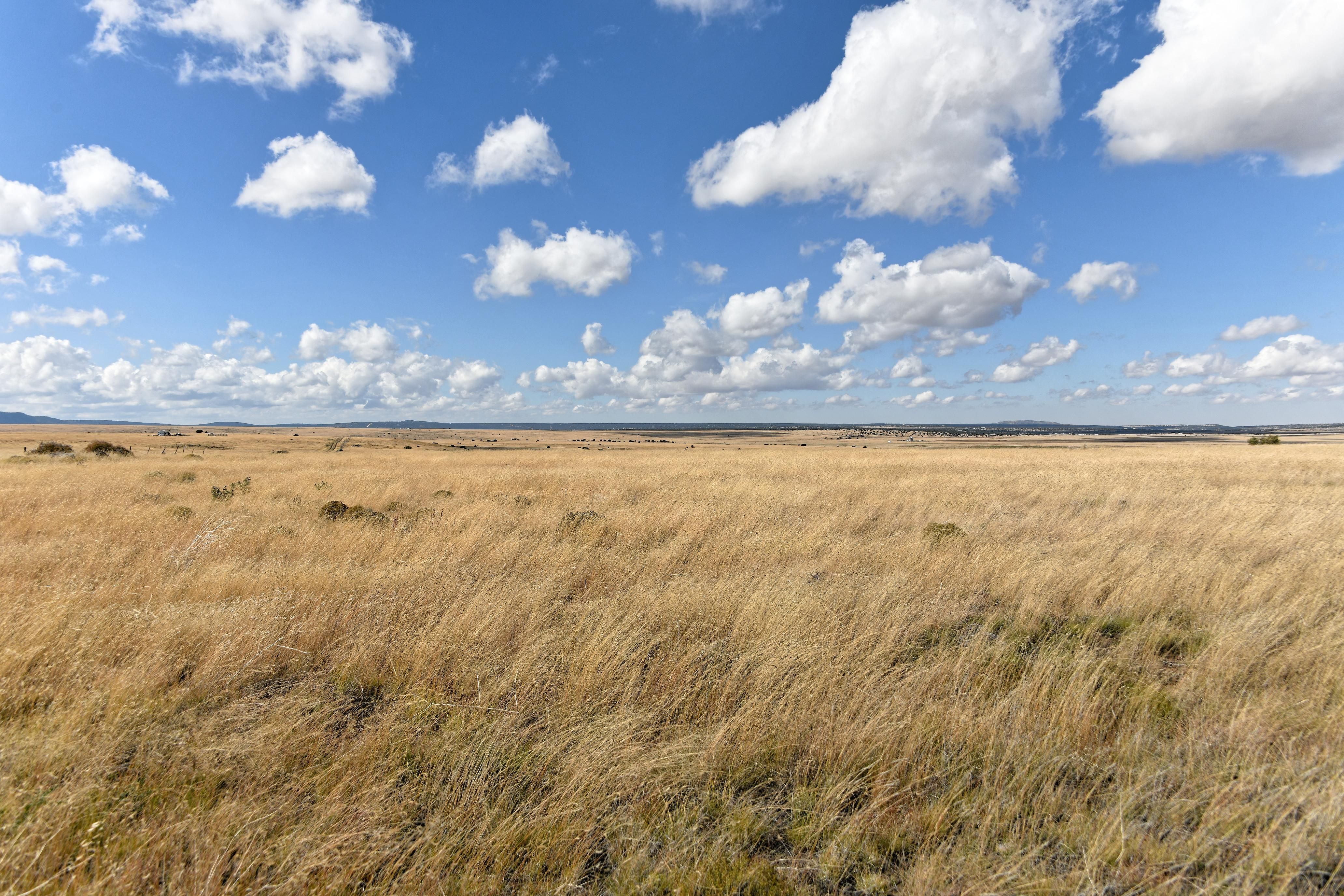 Show Low, Navajo County, AZ Recreational Property, Undeveloped Land