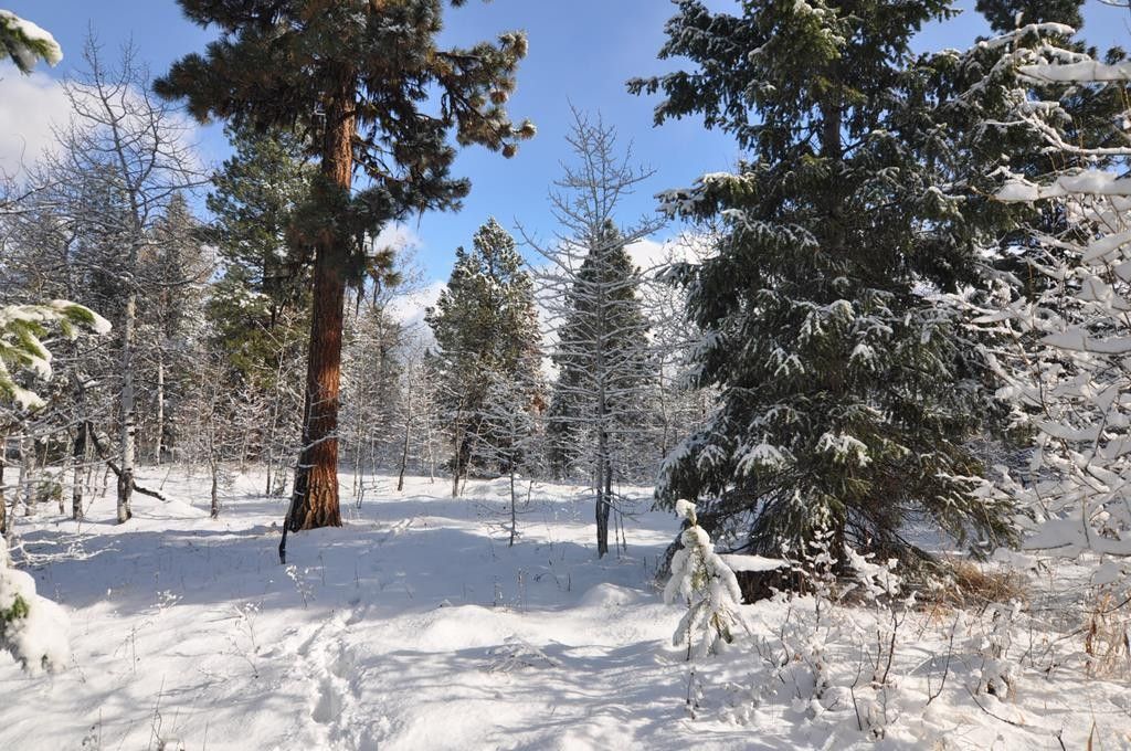 Mccall Valley County ID Undeveloped Land Homesites For Sale Property
