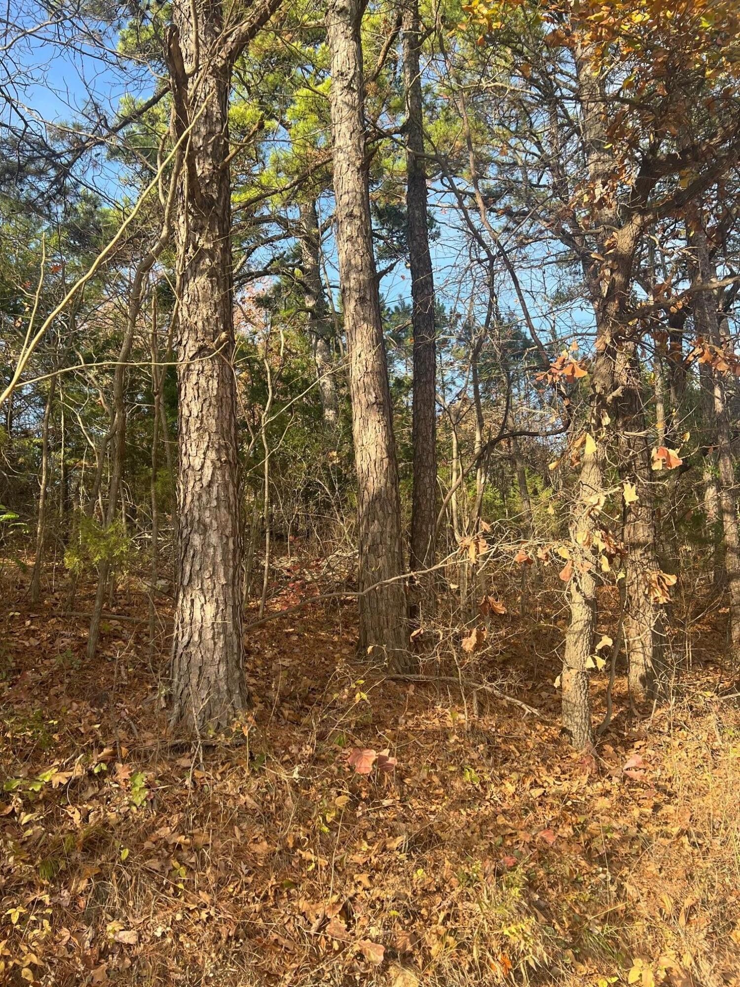 Gainesville, Ozark County, MO for sale Property ID 415239599 LandWatch