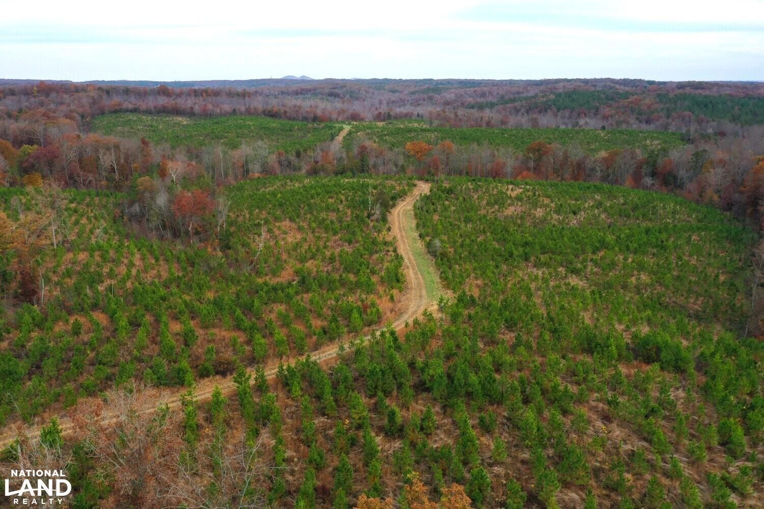 Farmville, Buckingham County, VA Recreational Property, Timberland