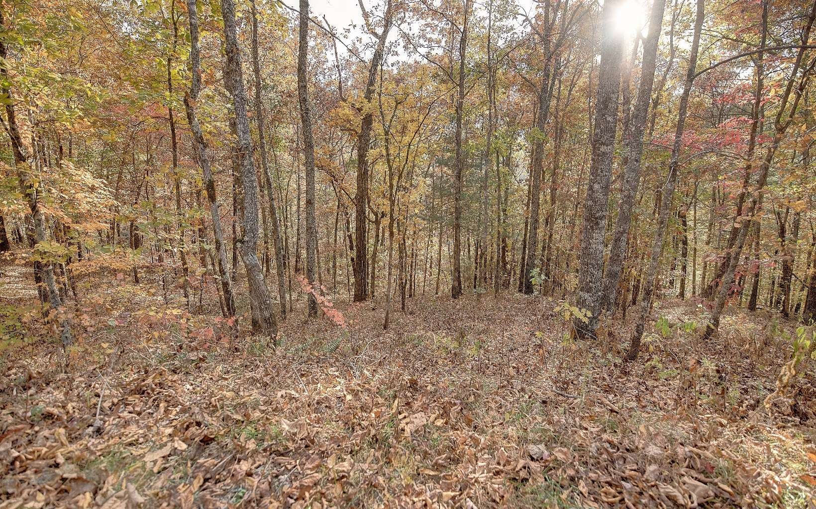 Talking Rock, Gilmer County, GA Undeveloped Land, Homesites for sale