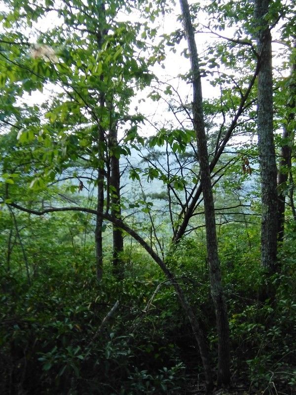 Wilder, Fentress County, TN Undeveloped Land for sale Property ID