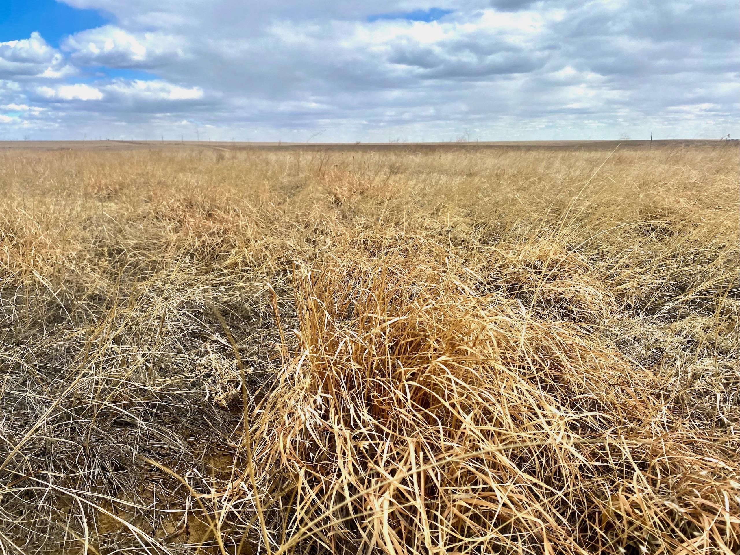 Byers, Adams County, CO Farms and Ranches, Recreational Property, Hunting Property for sale