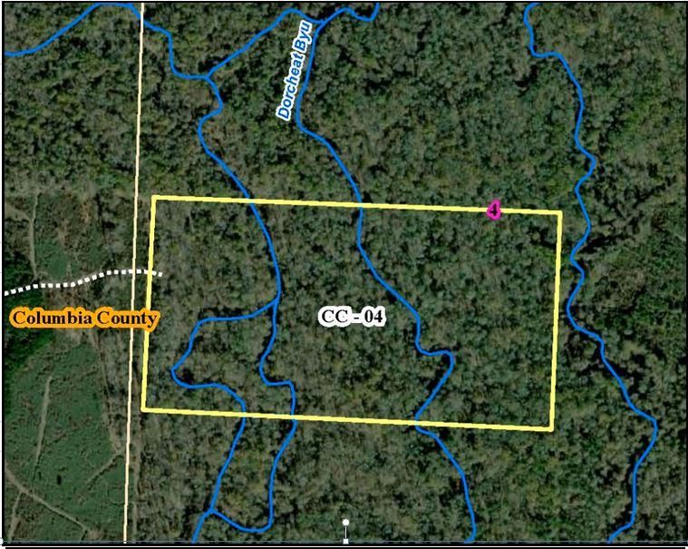 Taylor, Columbia County, AR Recreational Property, Timberland Property