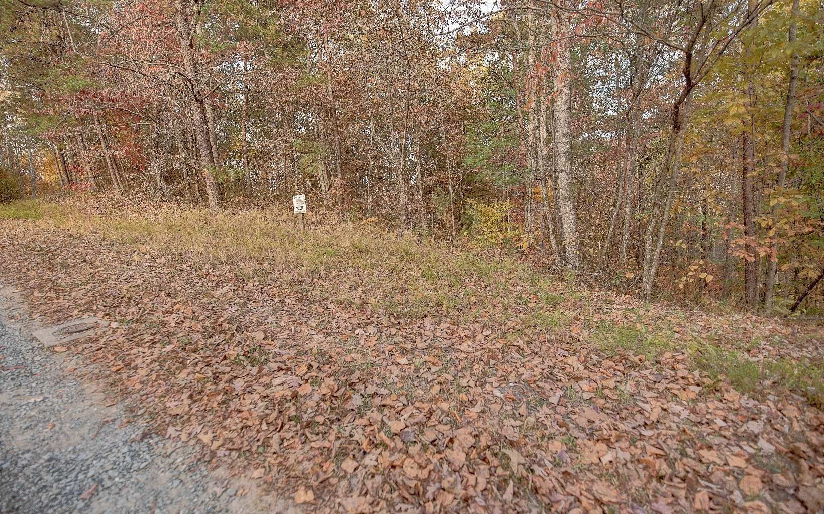 Ranger, Gilmer County, GA Homesites for sale Property ID 415244138