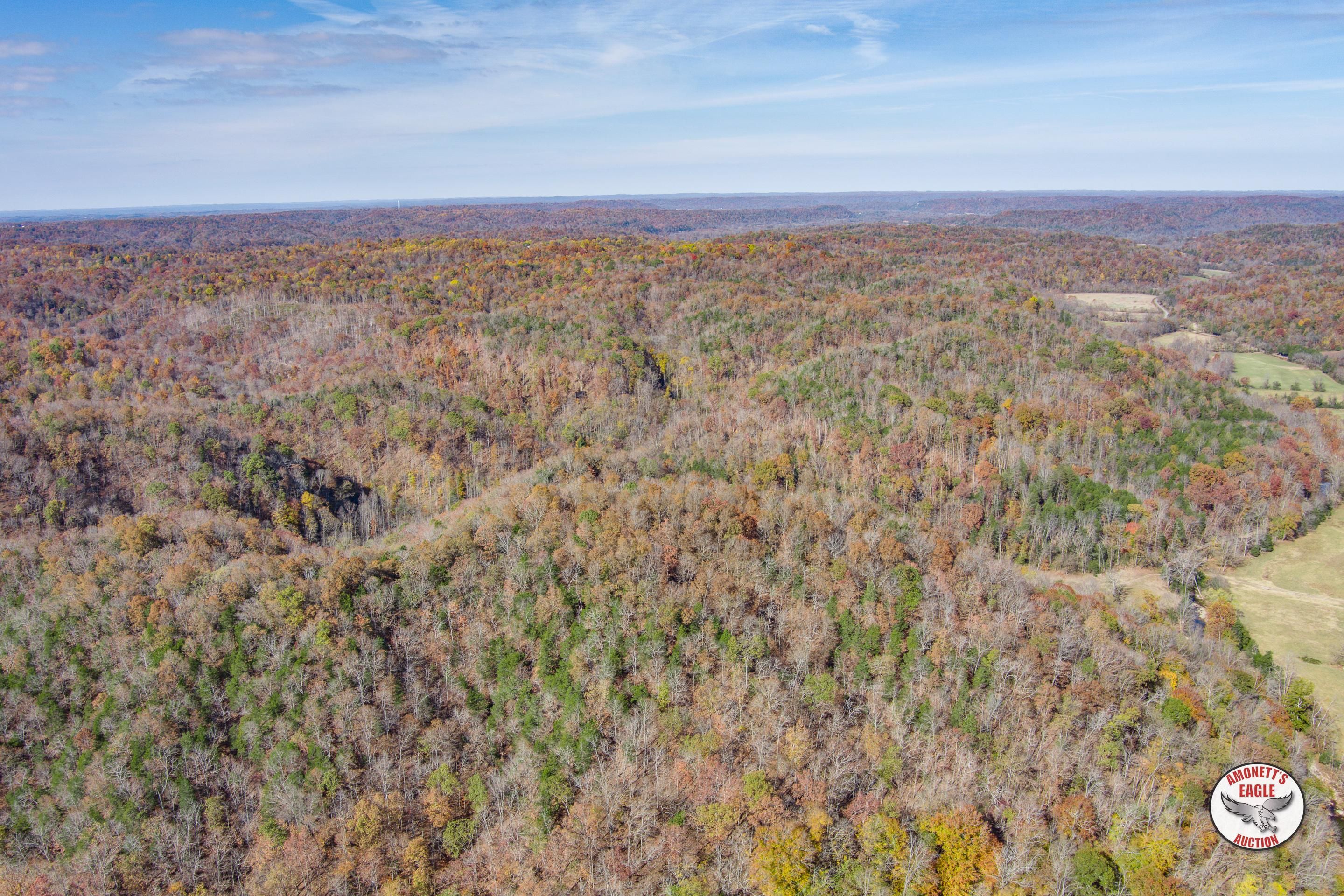 Albany, Clinton County, KY Farms and Ranches, Undeveloped Land for