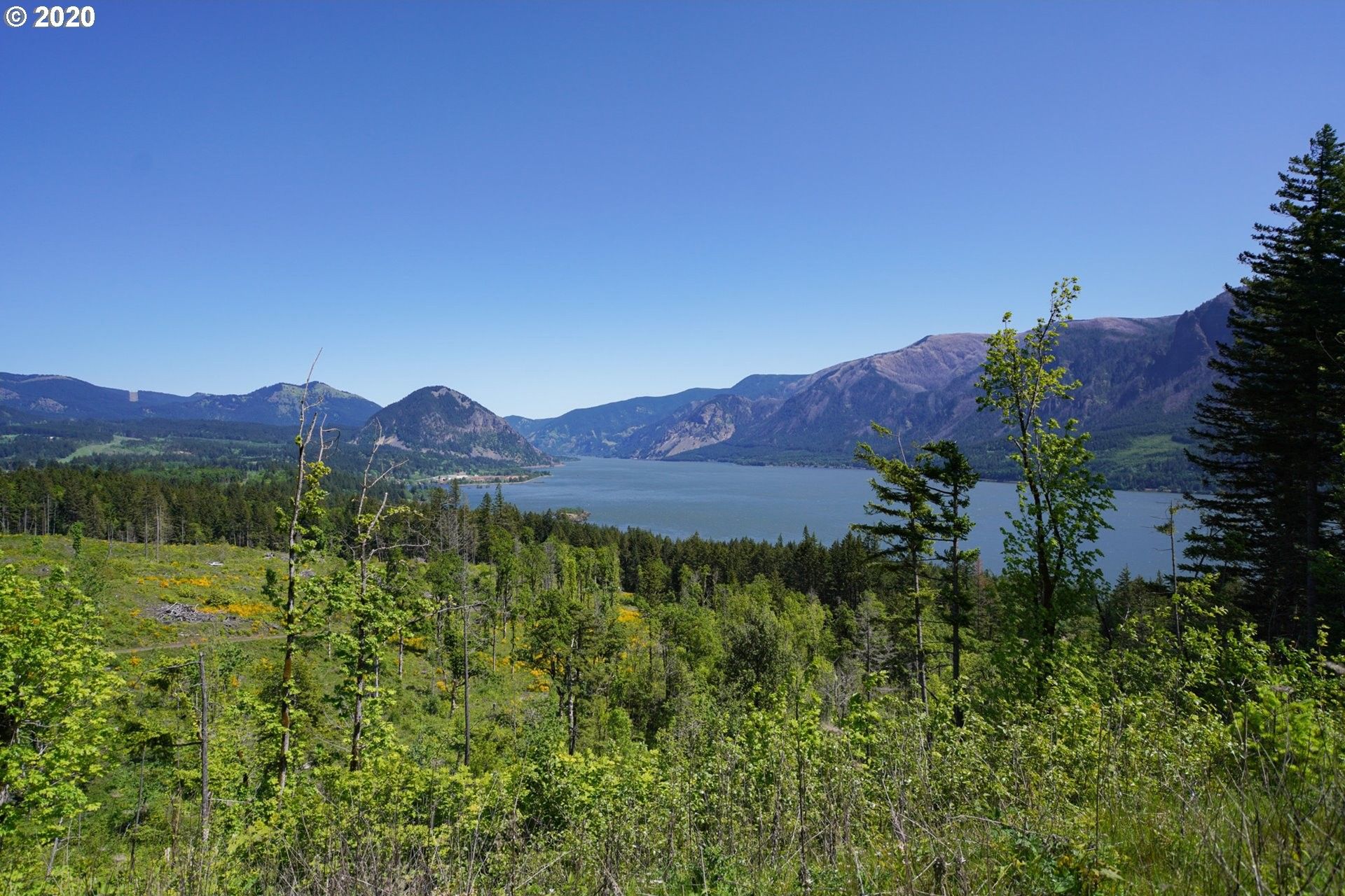 Carson, Skamania County, WA Farms and Ranches for sale Property ID