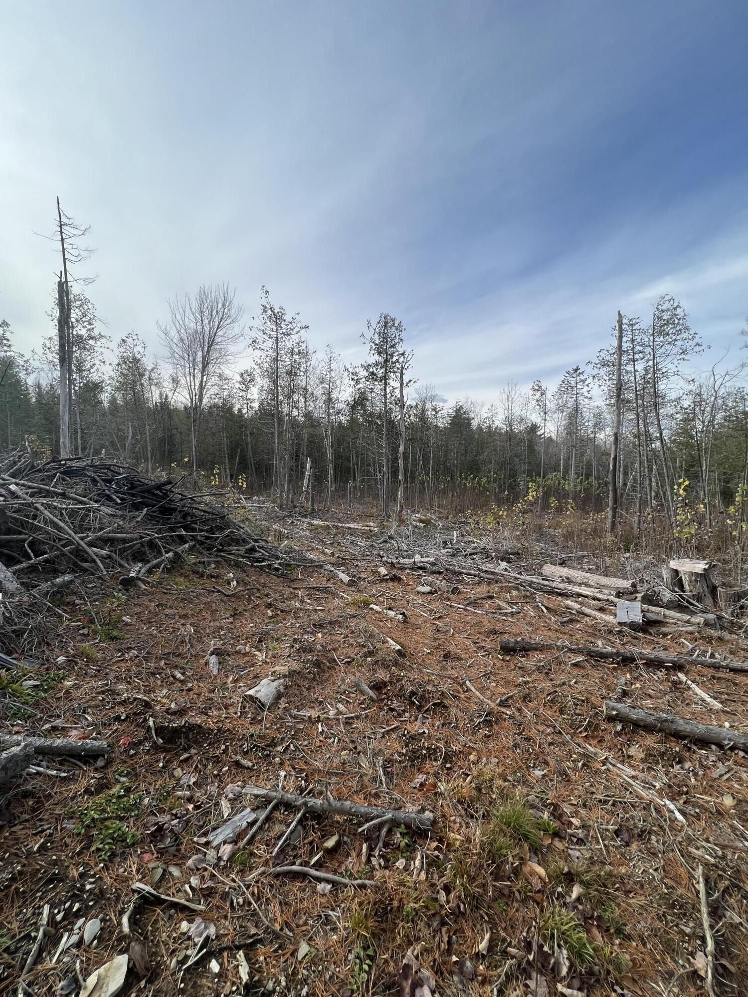 Dexter, Penobscot County, ME Undeveloped Land for sale Property ID 415244772 LandWatch