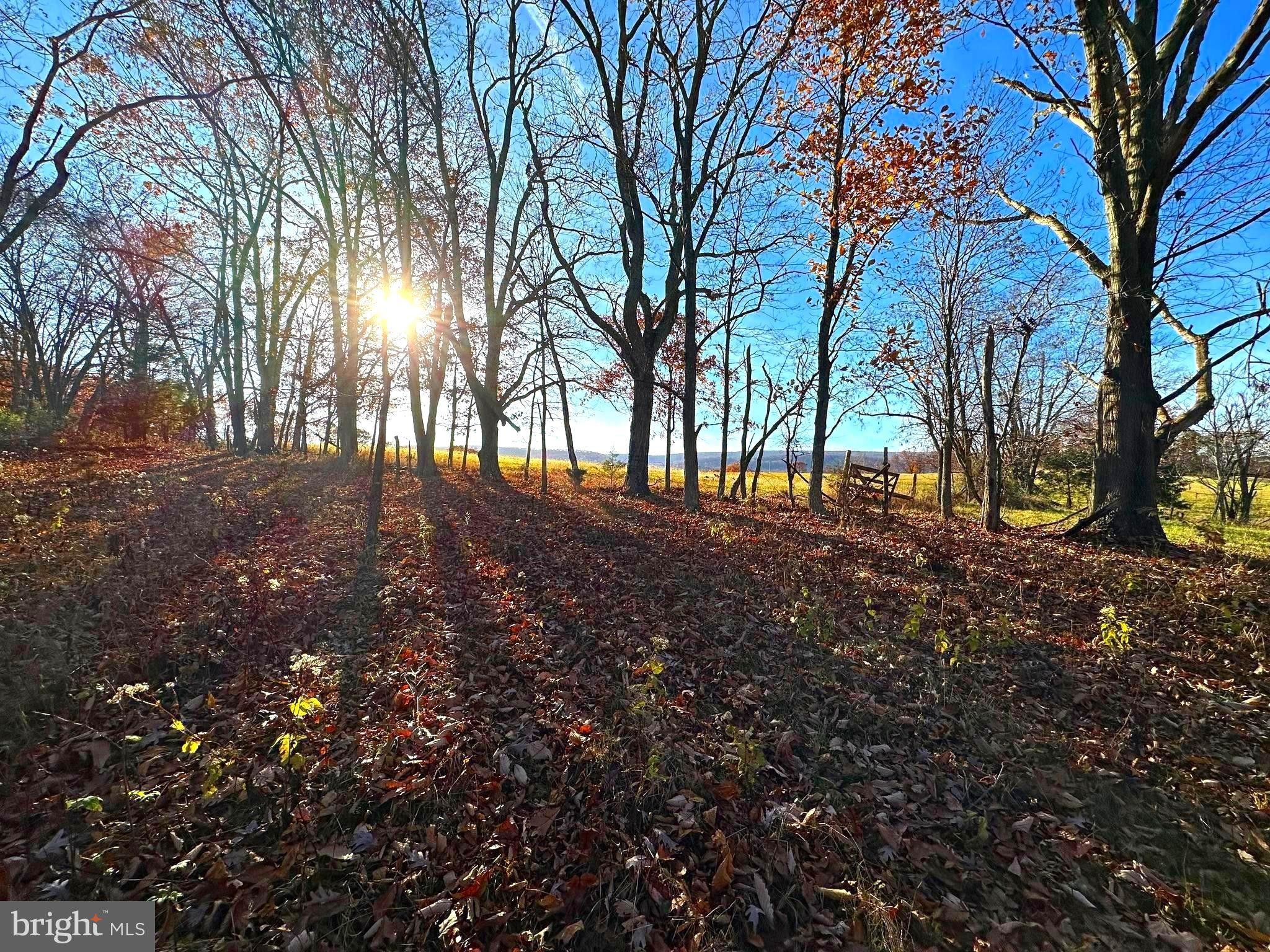 Petersburg, Grant County, WV Undeveloped Land, Homesites for sale