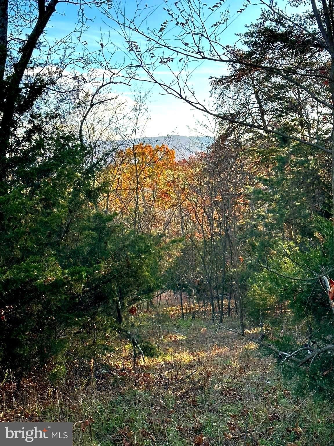 Petersburg, Grant County, WV Undeveloped Land, Homesites for sale