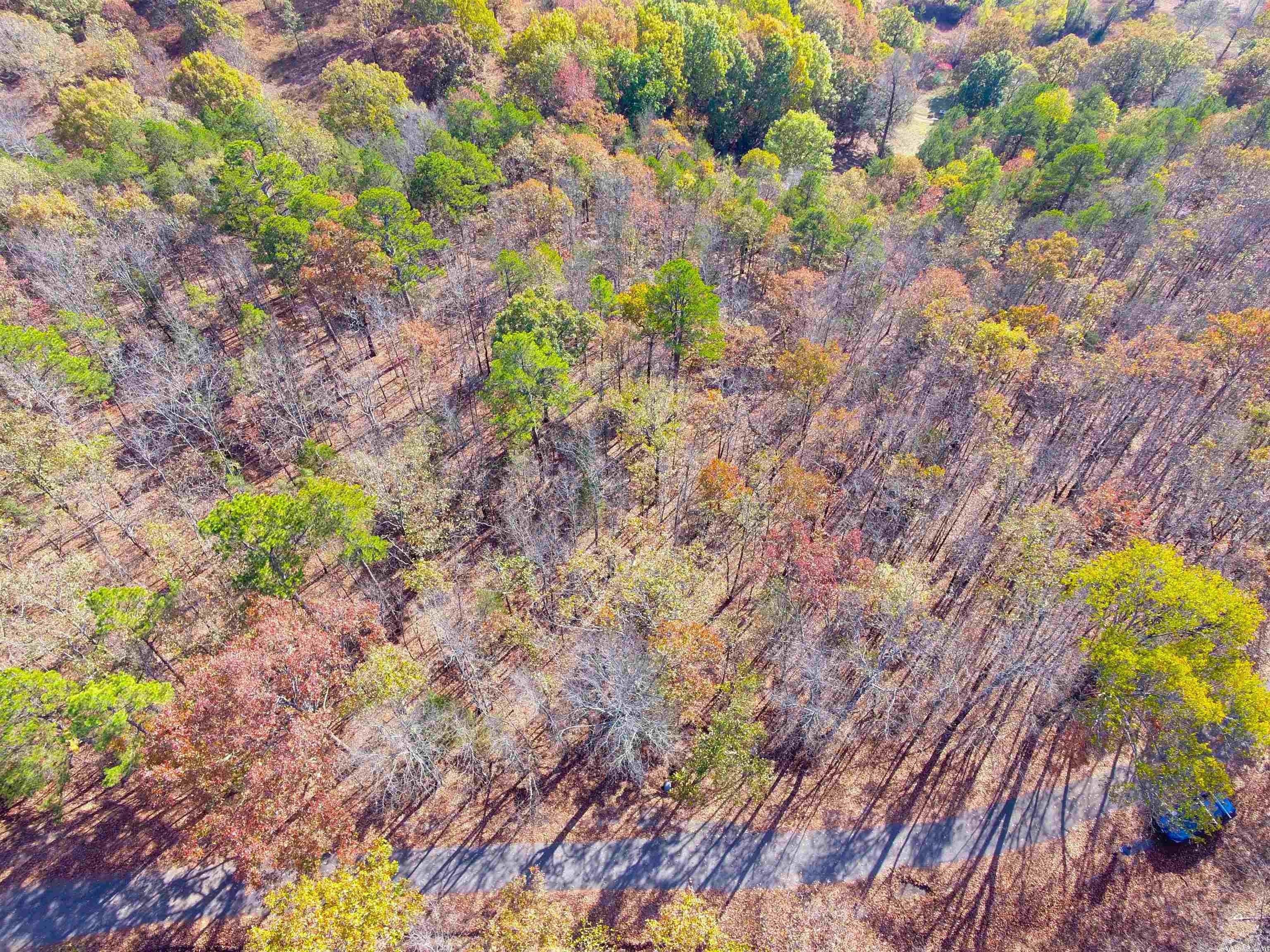 Heber Springs, Cleburne County, AR Undeveloped Land, Homesites for sale Property ID 415246206