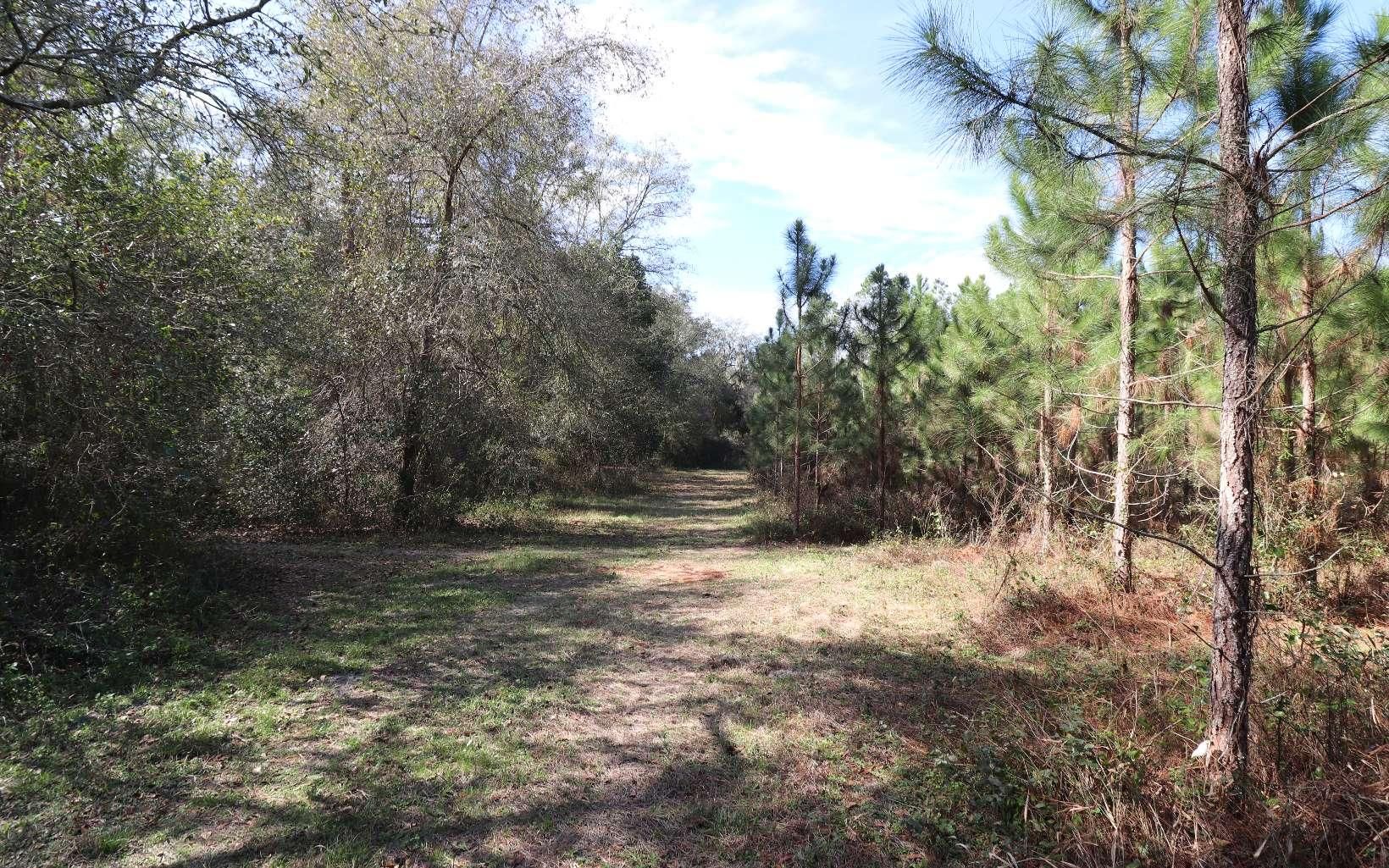 168th Street, Mcalpin, FL 32062 MLS 117771 LandWatch