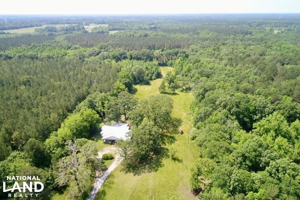 Panola, Sumter County, AL Farms and Ranches, Timberland Property