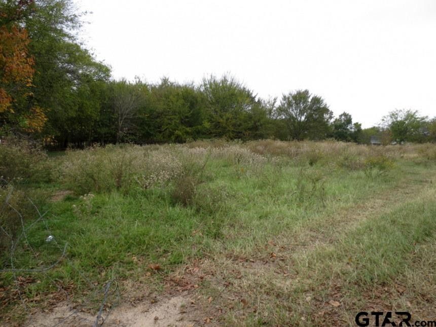Yantis, Wood County, TX Farms and Ranches, House for sale Property ID
