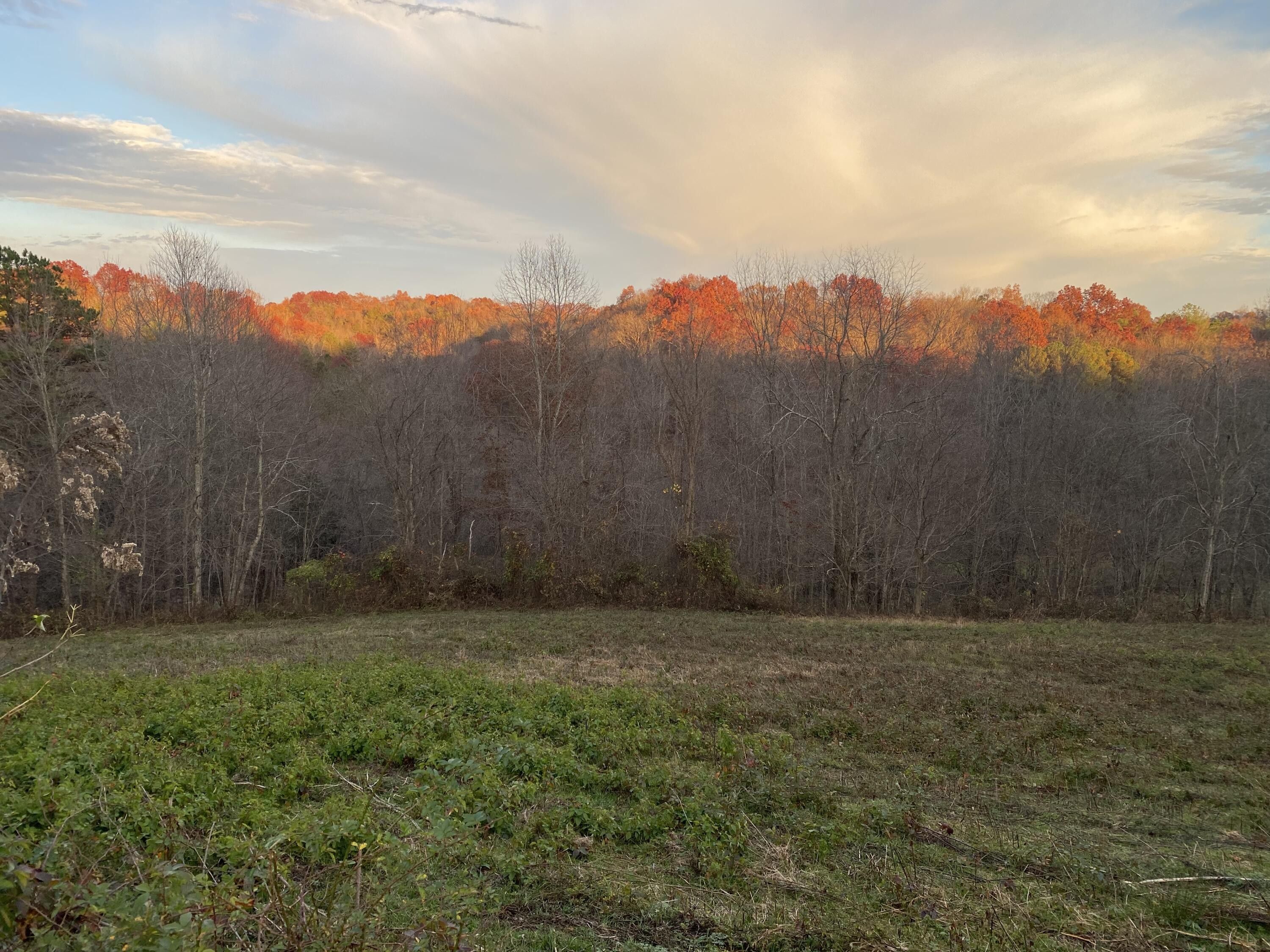 Manchester, Clay County, KY Farms and Ranches for sale Property ID