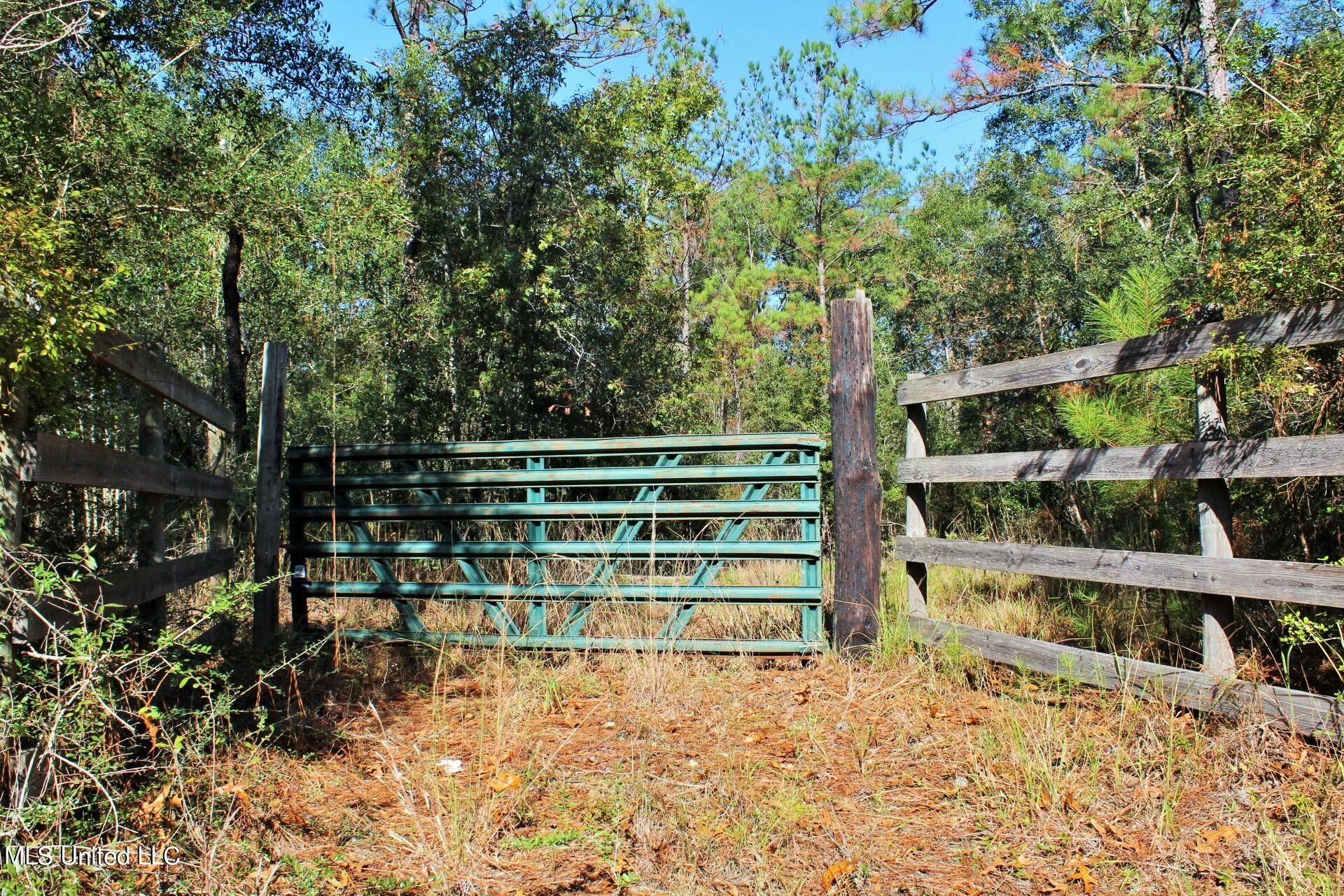 Leakesville, Greene County, MS Undeveloped Land for sale Property ID