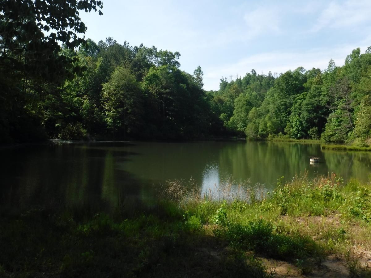 Butler, Choctaw County, AL Recreational Property, Timberland Property