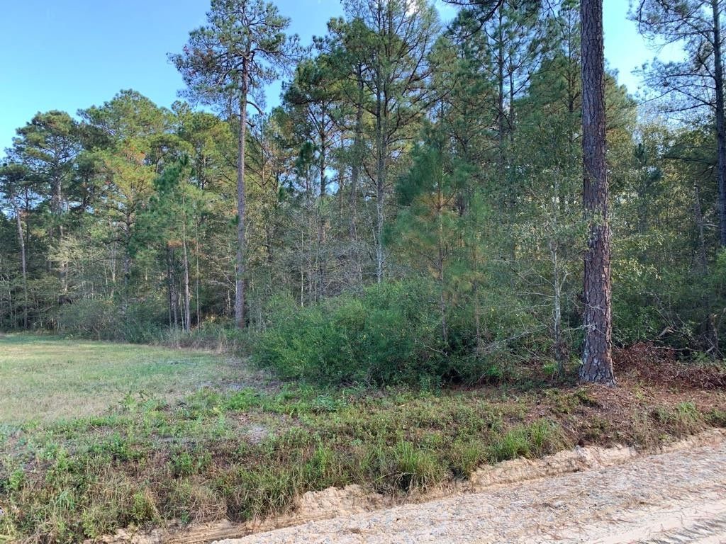 Thomasville, Thomas County, GA Undeveloped Land, Lakefront Property