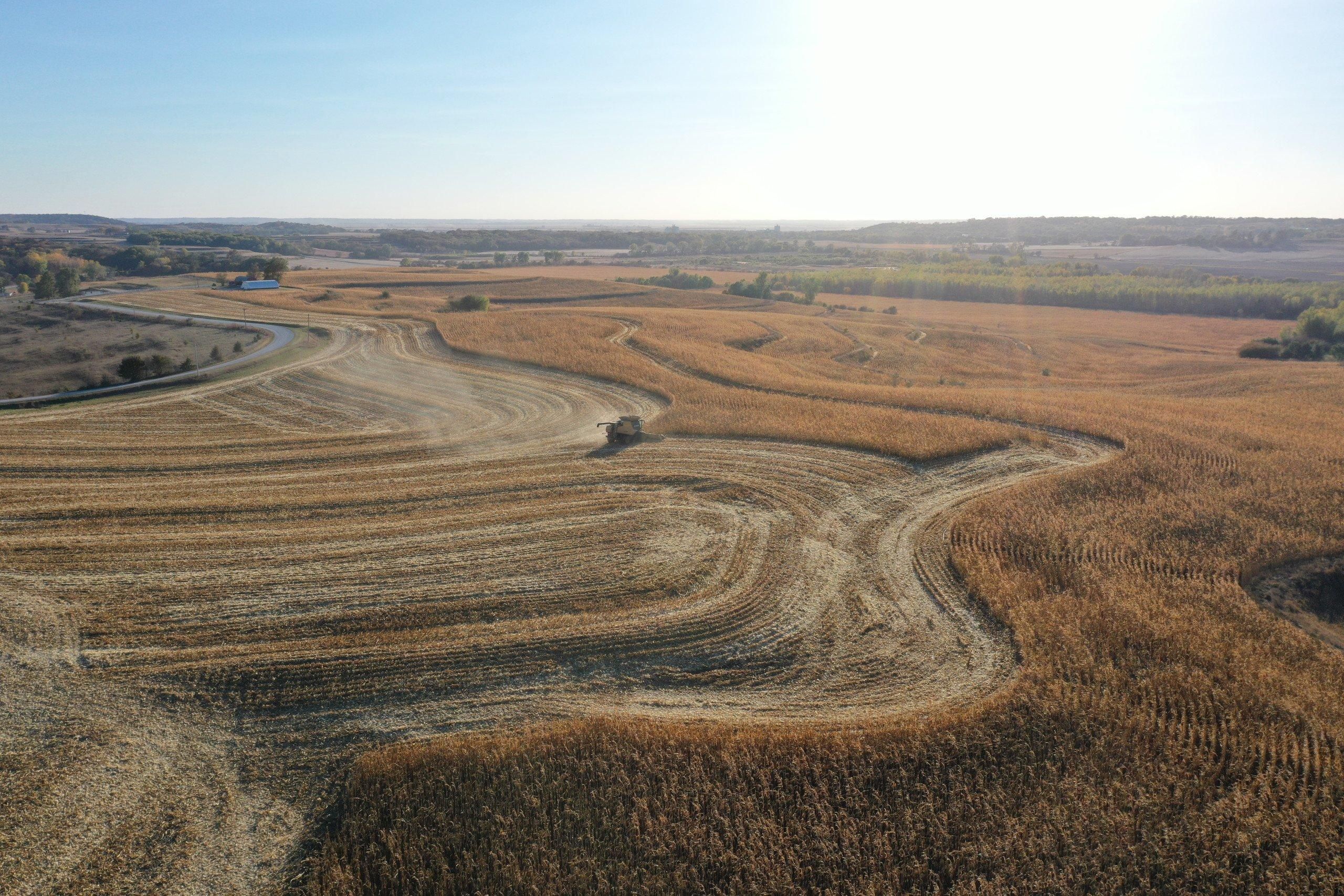 Hamburg, Fremont County, IA Farms and Ranches for auction Property ID 415250612 LandWatch