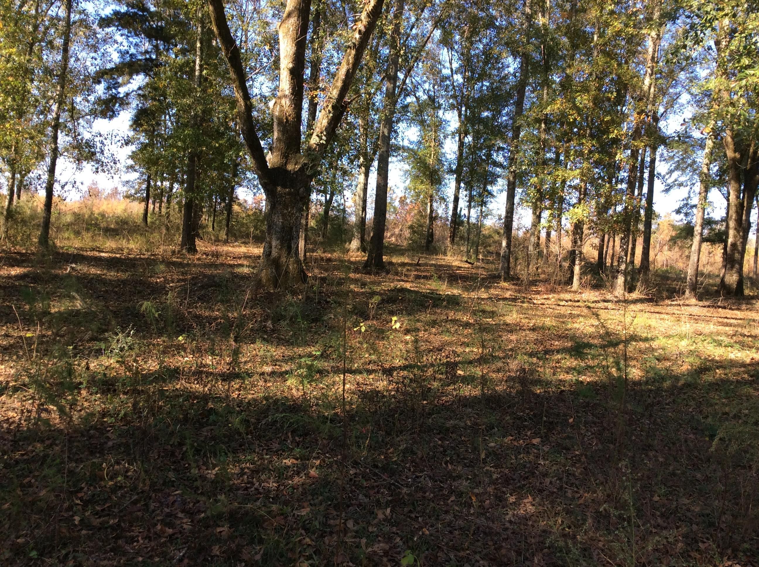 Luverne, Crenshaw County, AL for sale Property ID 415250952 LandWatch