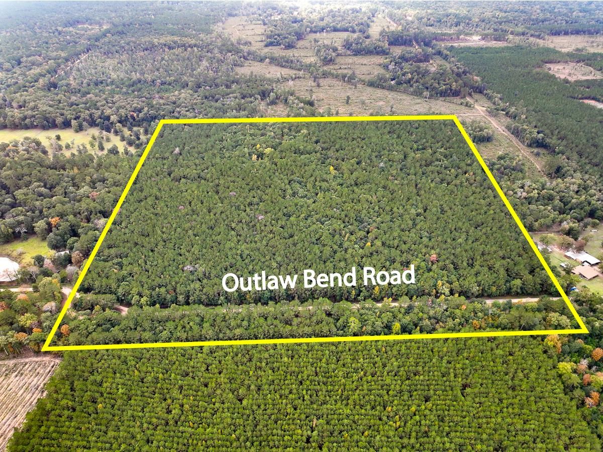 Livingston, Polk County, TX Farms and Ranches, Undeveloped Land, Hunting Property for sale