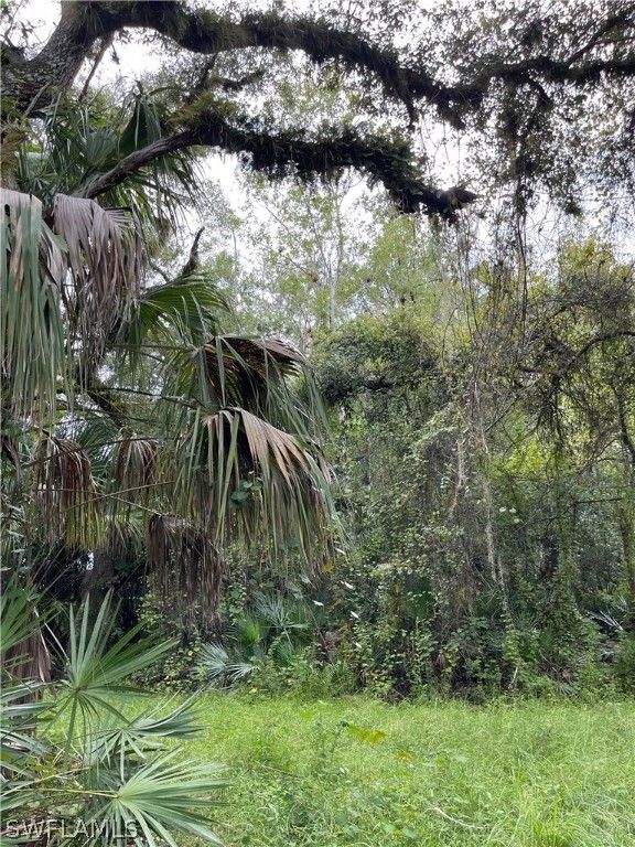 Labelle, Hendry County, FL Undeveloped Land, Lakefront Property