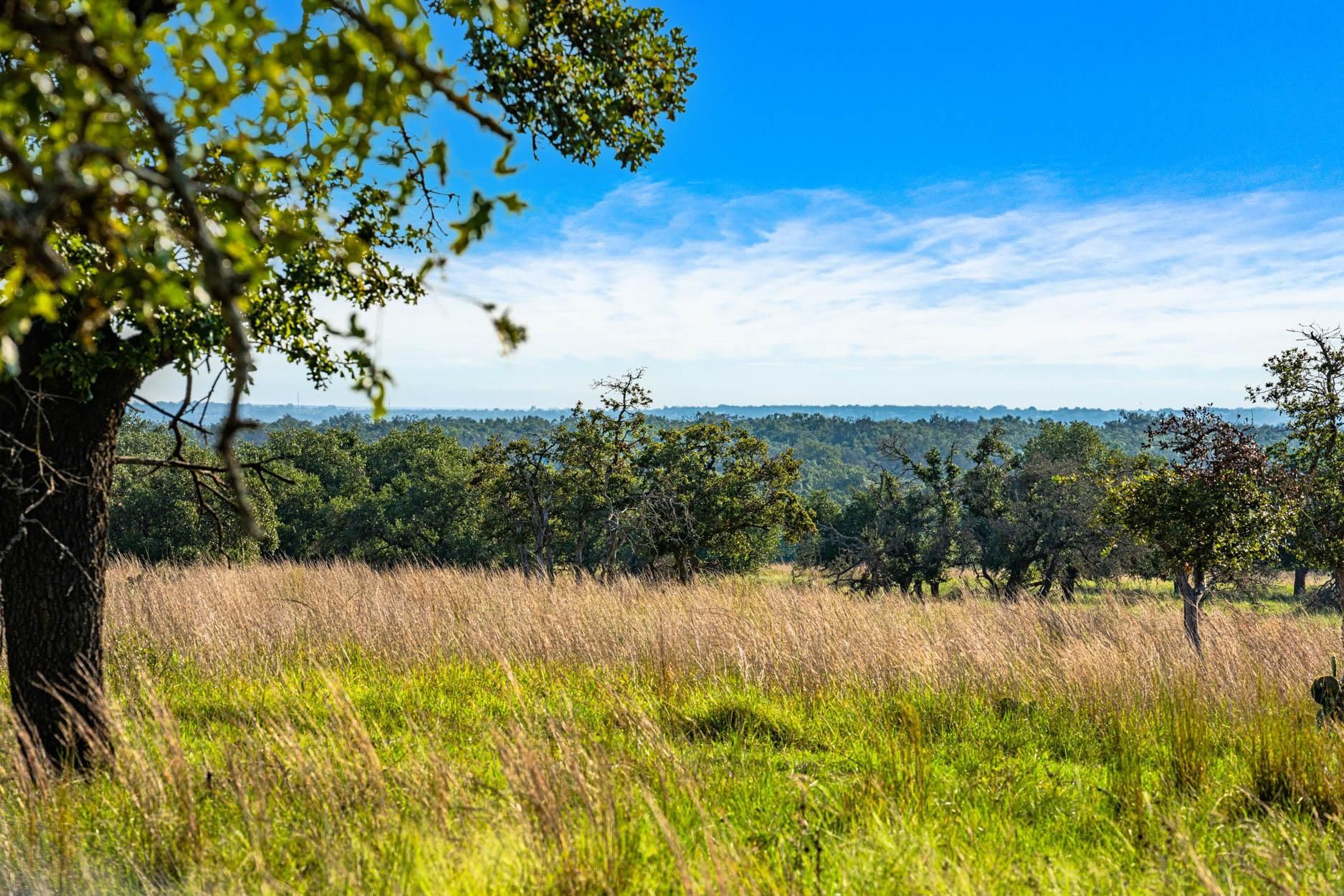 Farm to market 479, Harper, TX 78631 LandWatch