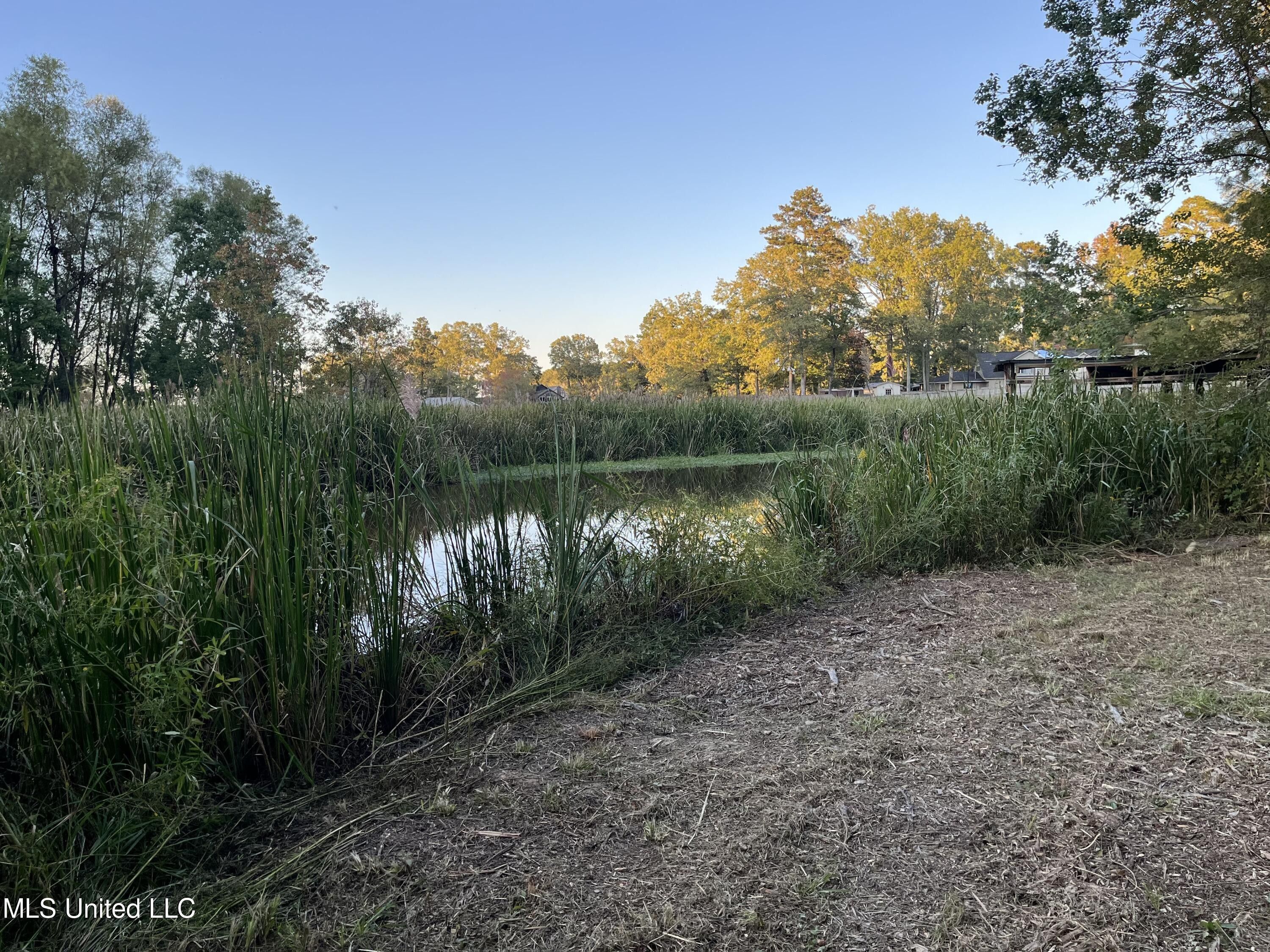Brandon, Rankin County, MS Farms and Ranches, Lakefront Property