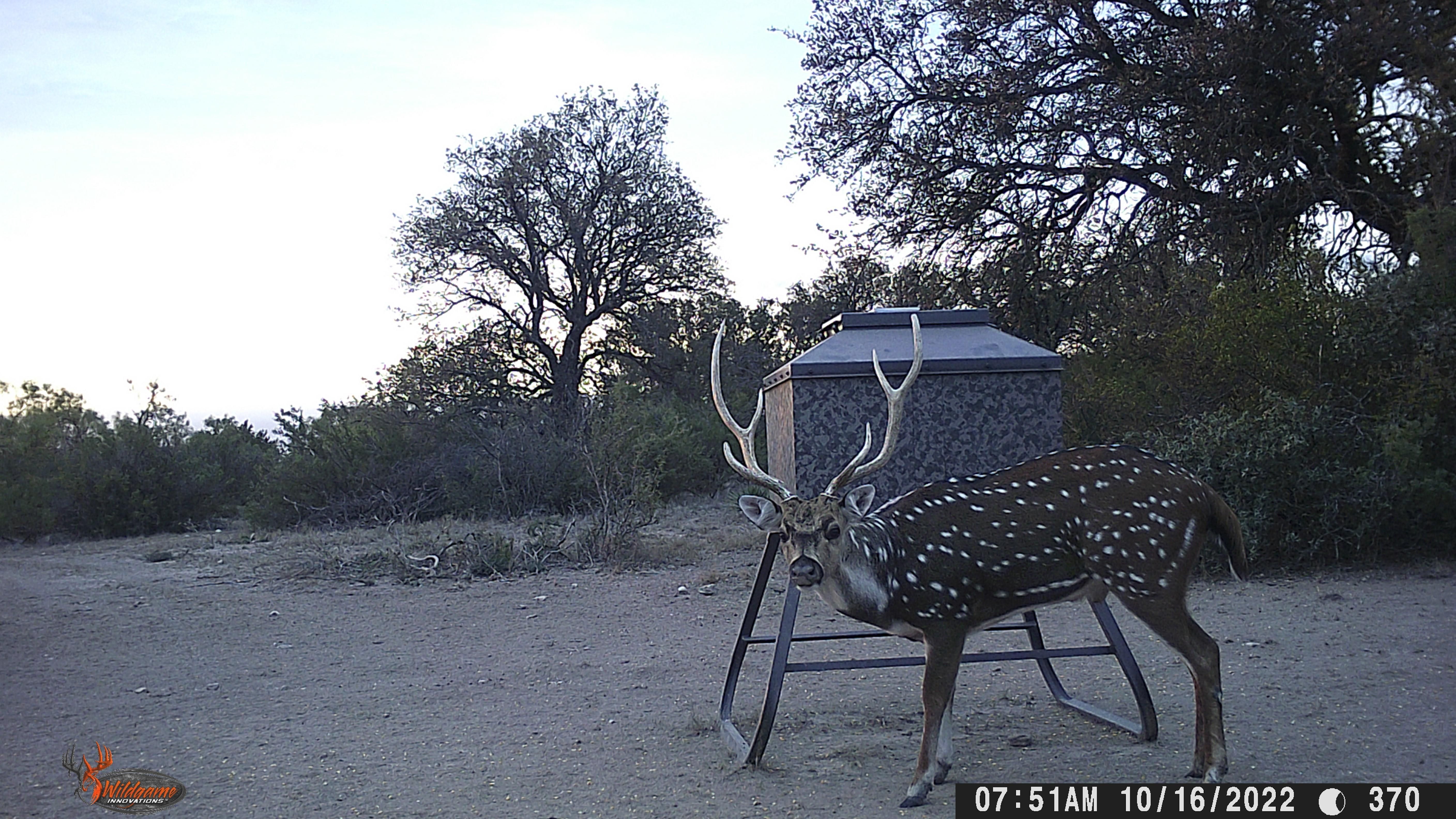 Brady, McCulloch County, TX Farms and Ranches, Recreational Property