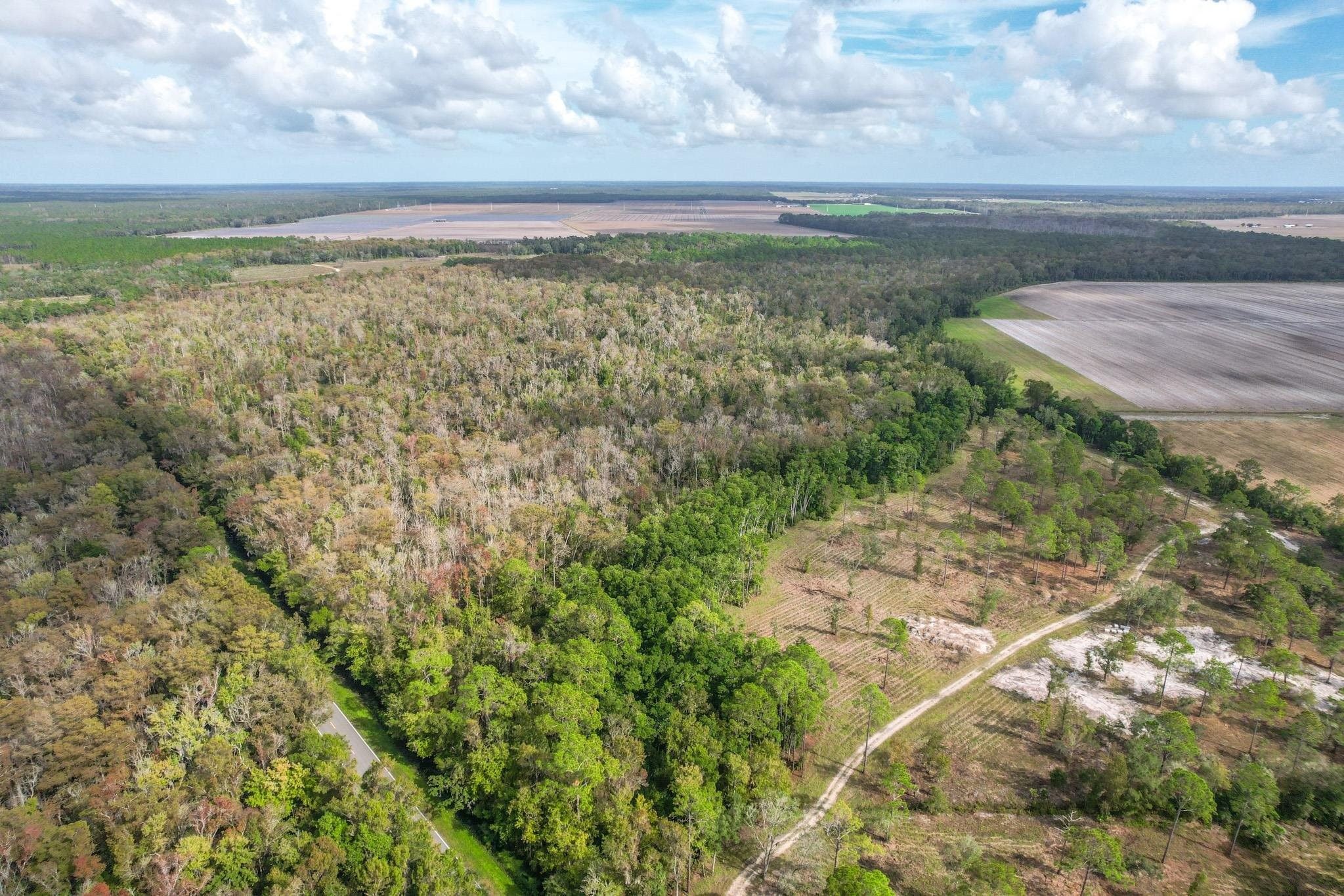 St Augustine, Saint Johns County, FL Undeveloped Land for sale Property