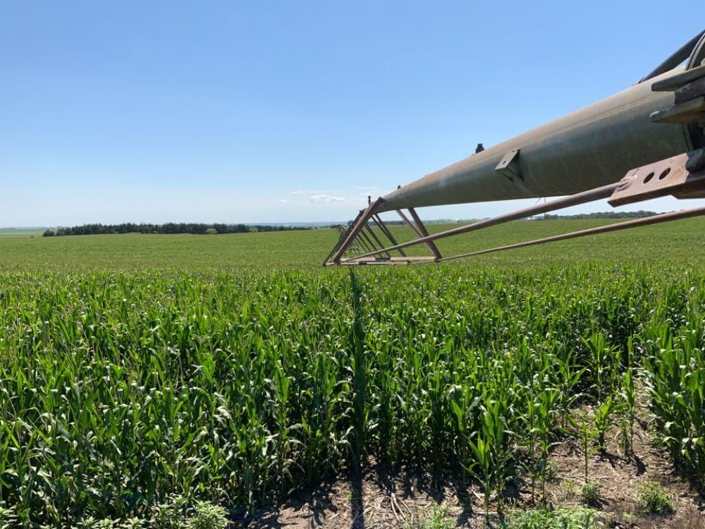 Neligh, Antelope County, NE Farms and Ranches, Hunting Property for sale Property ID 414775907