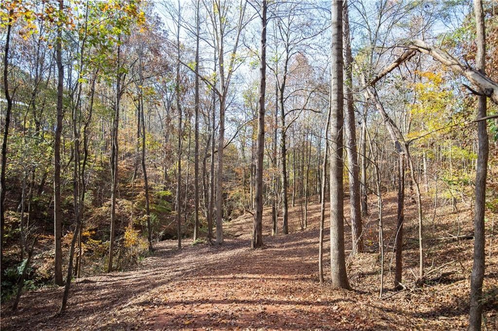 Seneca, Oconee County, SC Undeveloped Land, Homesites for sale Property