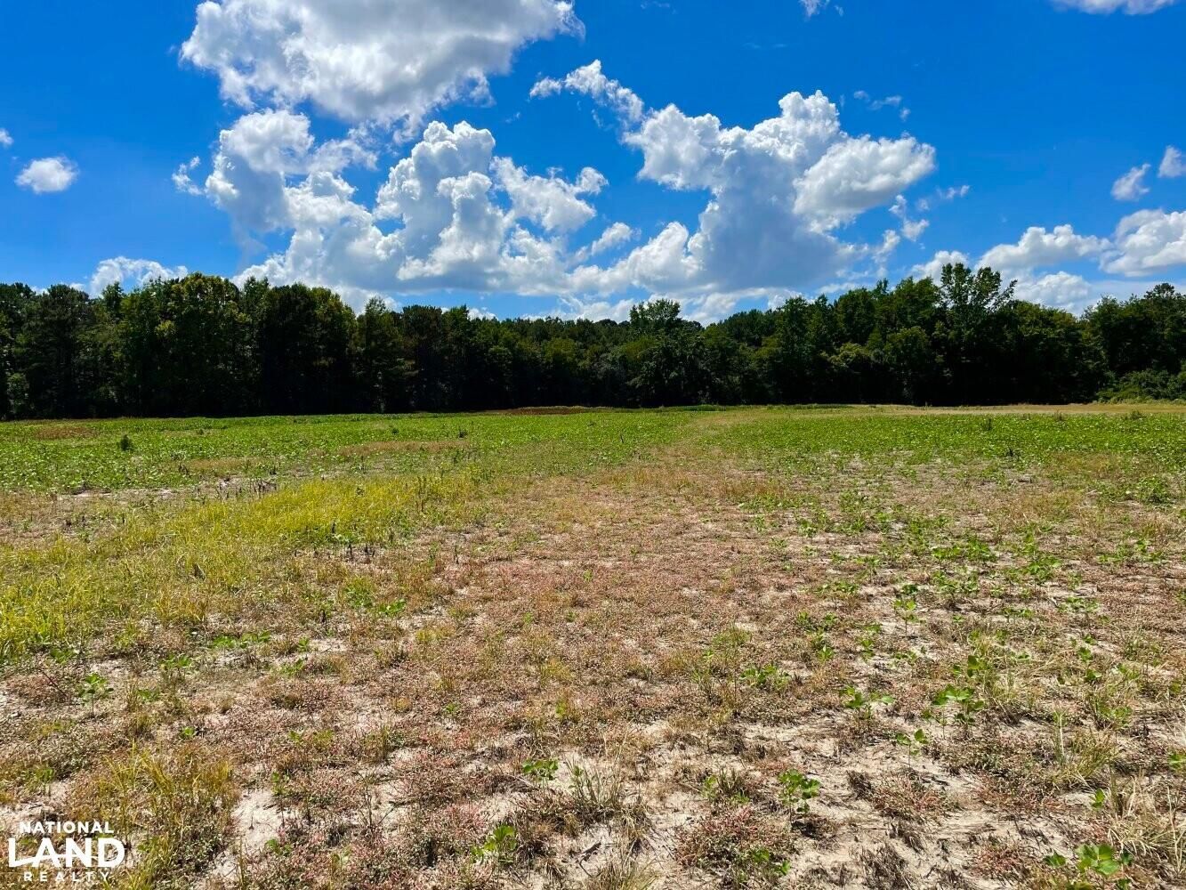 4544 Bryant Pond Road, Dunn, NC 28334 LandWatch