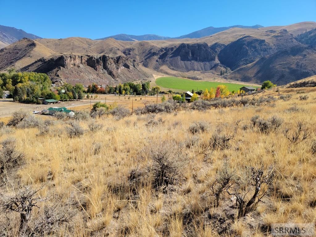 Salmon, Lemhi County, ID Undeveloped Land, Homesites for sale Property