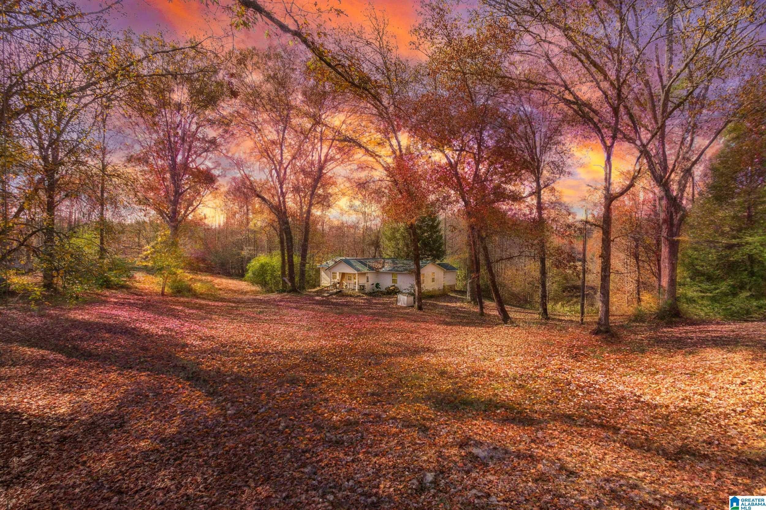 Heflin, Cleburne County, AL Lakefront Property, Waterfront Property