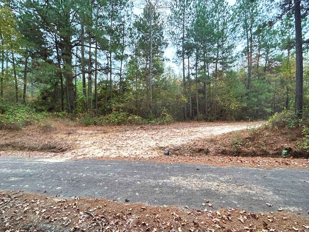 Gilmer, Upshur County, TX Undeveloped Land, Hunting Property for sale